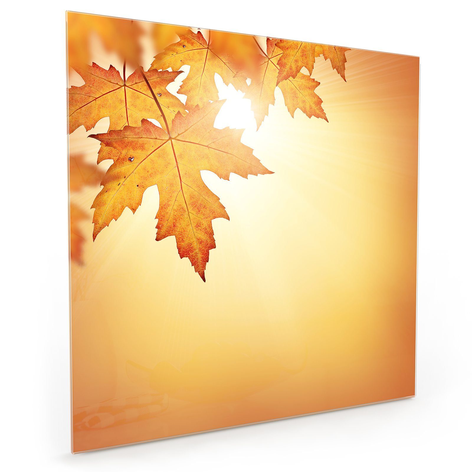 Herbstlaub Primedeco Motiv Küchenrückwand mit Glas Spritzschutz Küchenrückwand