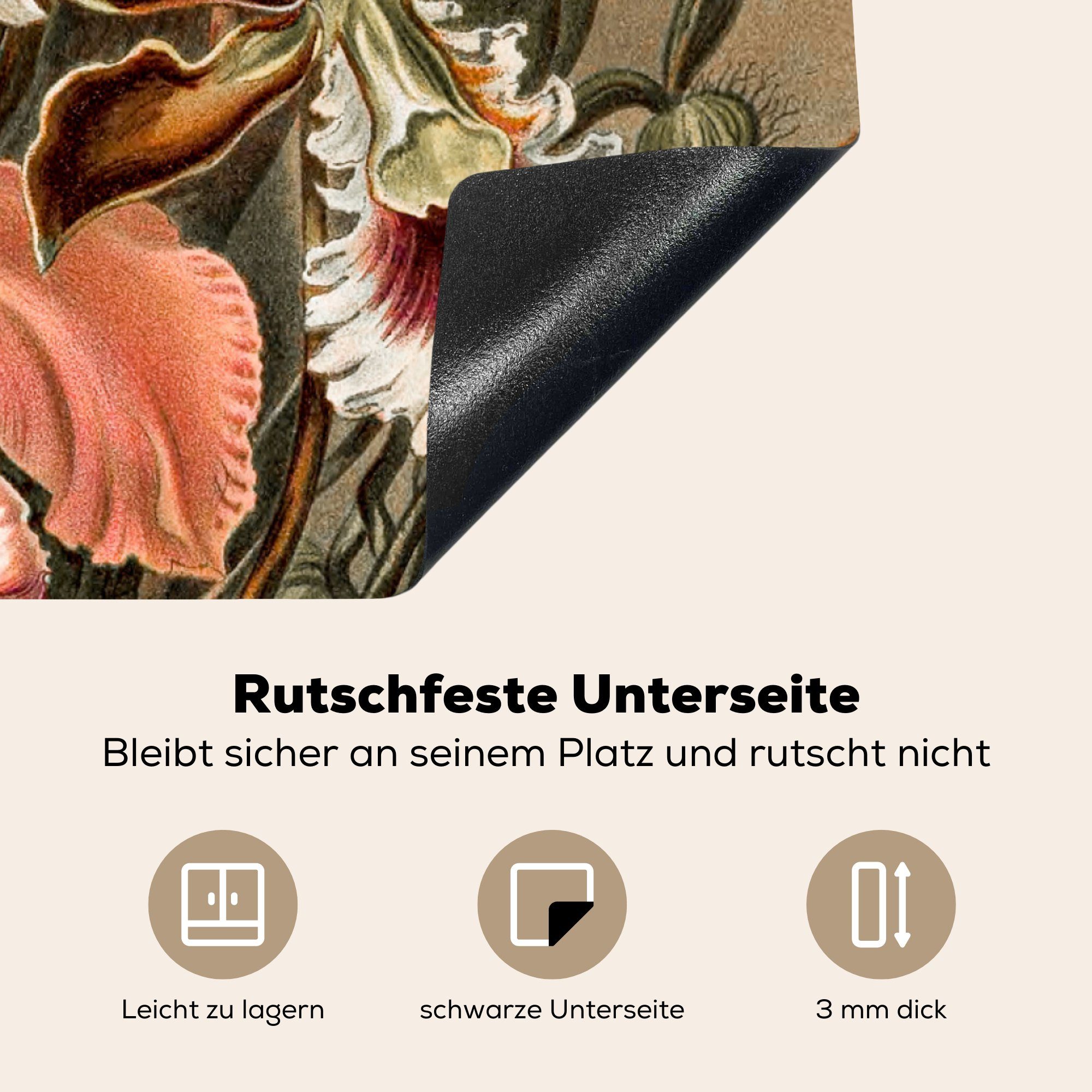 Orchidee Haeckel, für Vinyl, Herdblende-/Abdeckplatte Ceranfeldabdeckung, küche Ernst Arbeitsplatte tlg), (1 - cm, 78x78 MuchoWow