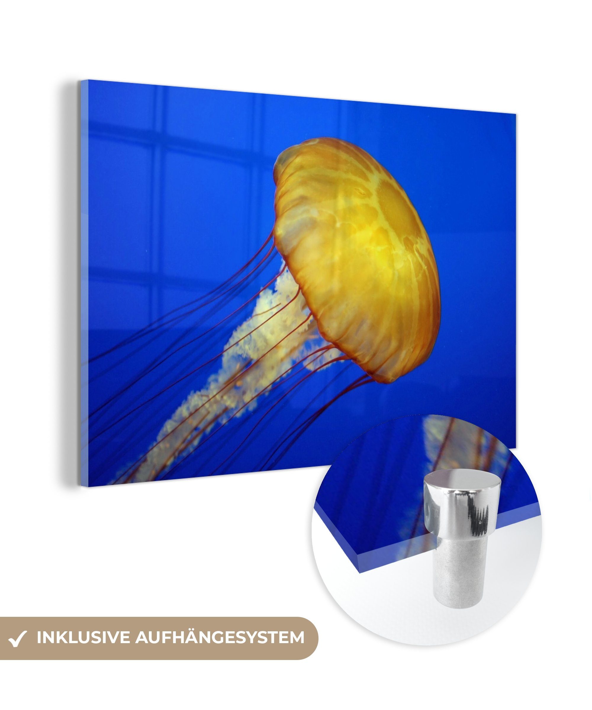 MuchoWow Acrylglasbild Qualle - Meer - Gelb, (1 St), Acrylglasbilder Wohnzimmer & Schlafzimmer