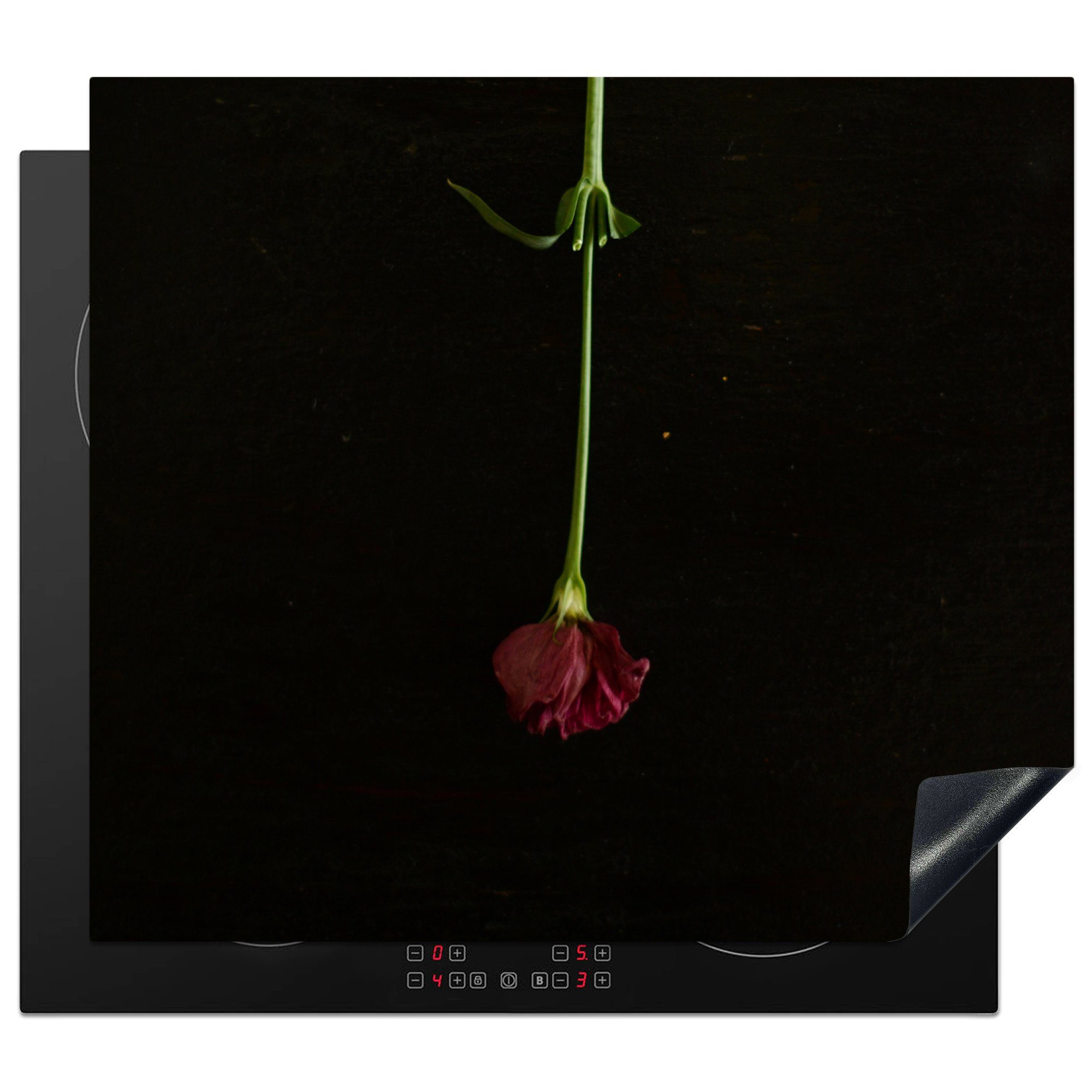 MuchoWow Herdblende-/Abdeckplatte Trockenblume - Rot - Rose, Vinyl, (1 tlg), 59x52 cm, Ceranfeldabdeckung für die küche, Induktionsmatte
