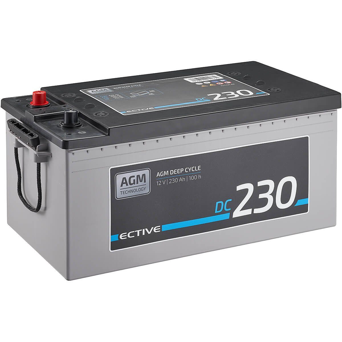 ECTIVE LC200L BT 12V LiFePO4 Lithium Versorgerbatterie 200Ah