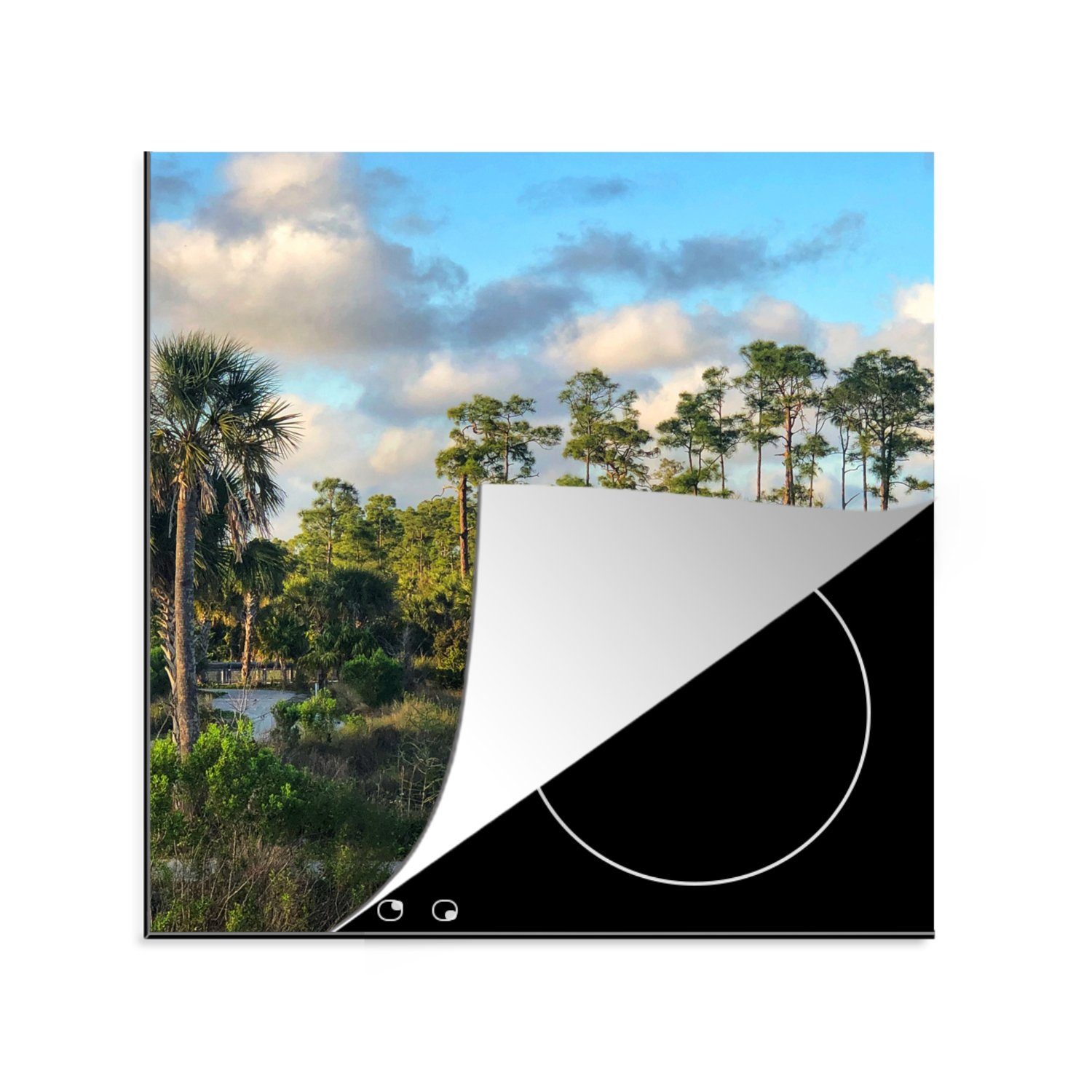 MuchoWow Herdblende-/Abdeckplatte Florida - Sumpf - Baum, Vinyl, (1 tlg), 78x78 cm, Ceranfeldabdeckung, Arbeitsplatte für küche