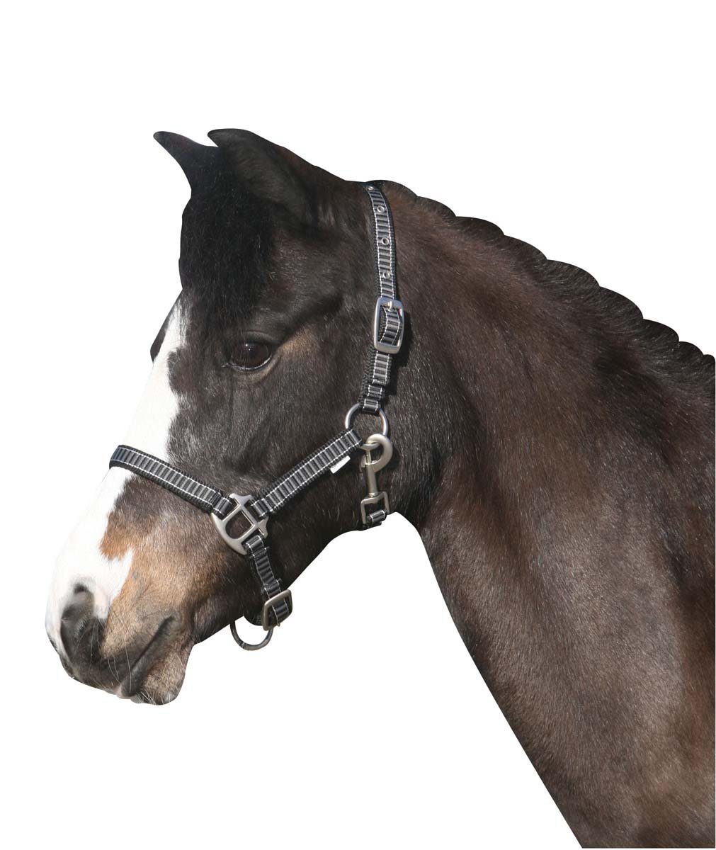 Horse Guard Кобура RIO Кобура grau/schwarz - Warmblut, Nylon, verstellbar