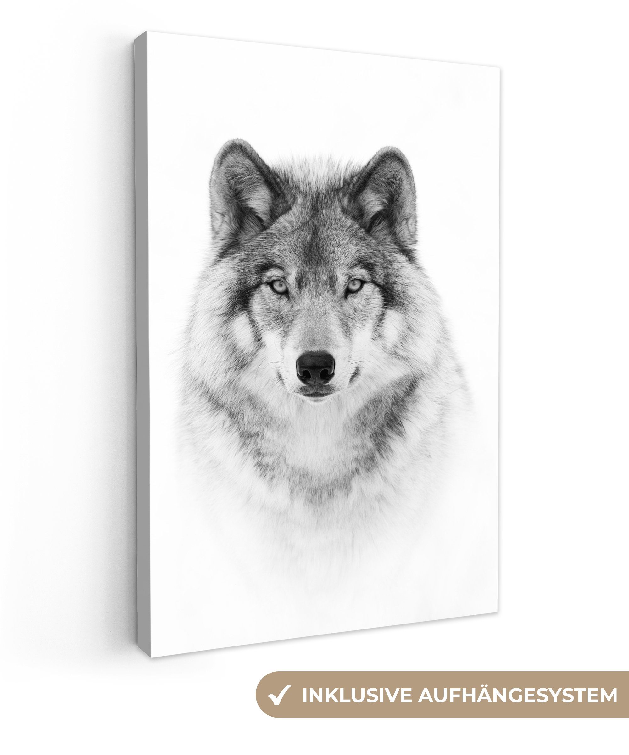 OneMillionCanvasses® Leinwandbild Wolf - Tiere - günstig online kaufen