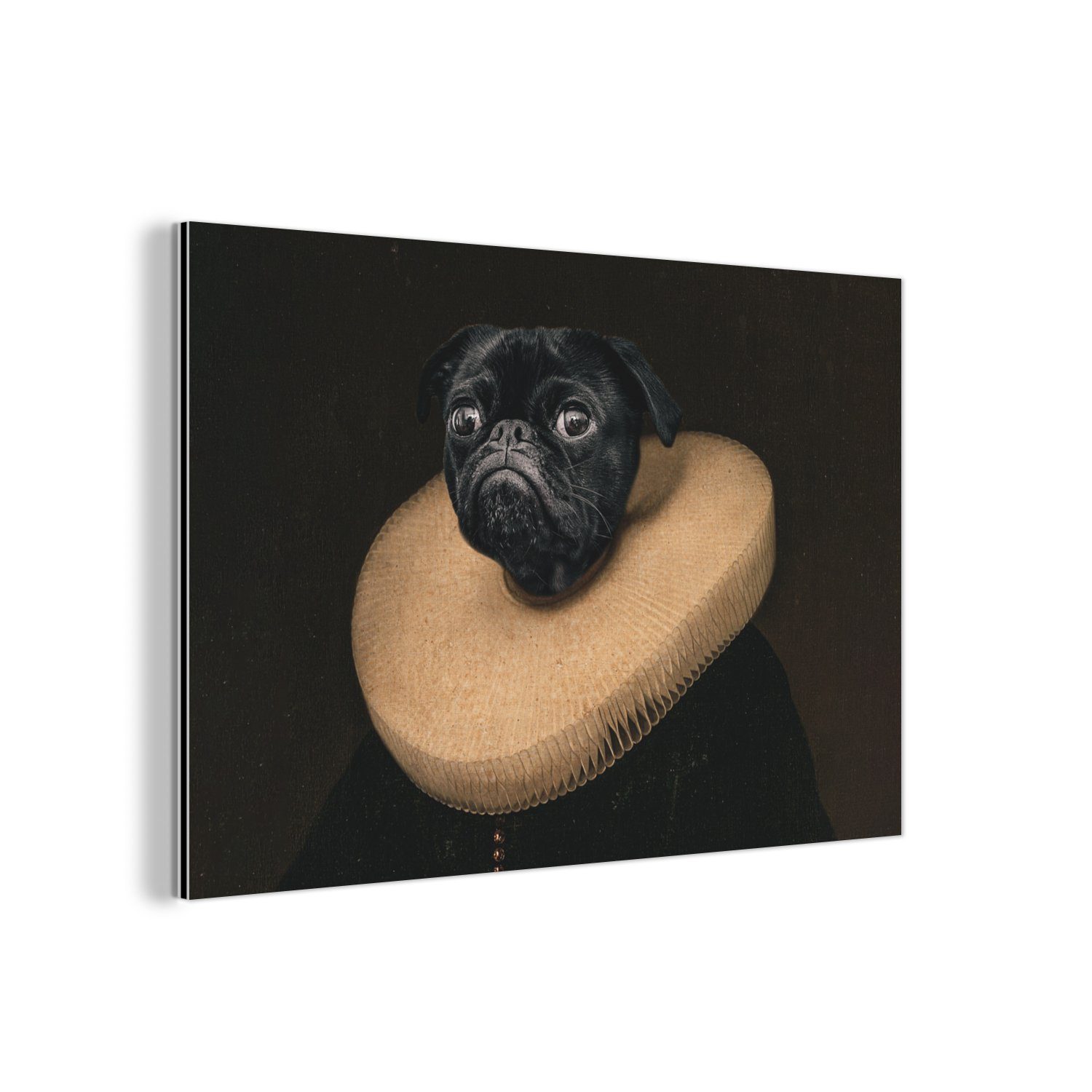 MuchoWow Metallbild Kunstdrucke - Mops - günstig online kaufen