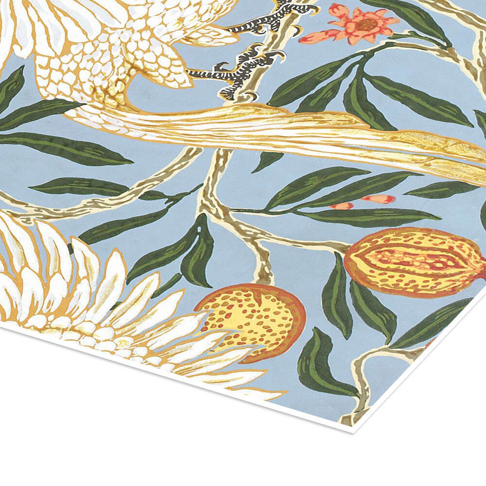 Posterlounge Wandbild Kakadu und Granatapfel, Walter Crane, erhältlich als Poster, Leinwandbild, Wandsticker oder Acrylglasbild