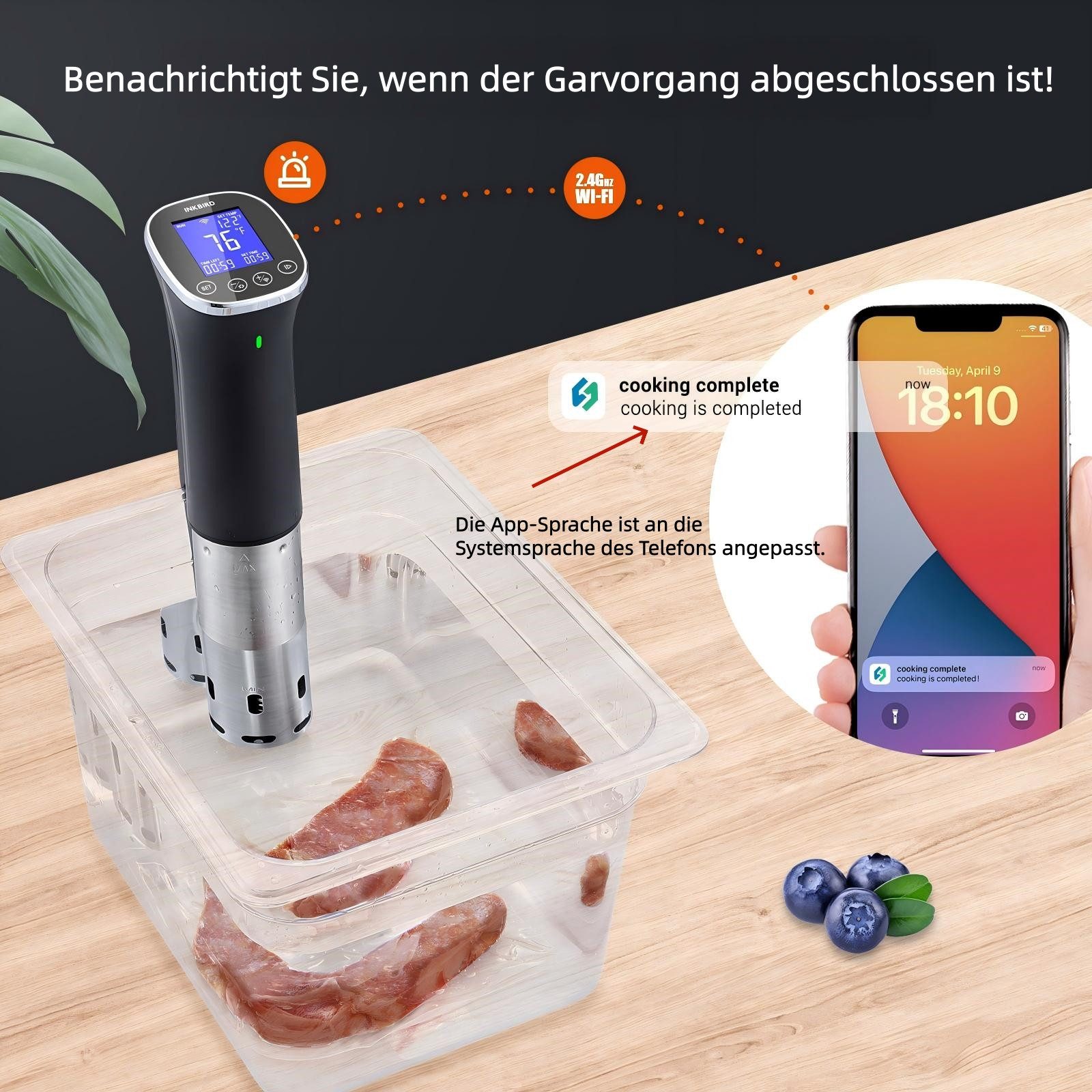 INKBIRD Sous-Vide Garer Professioneller Küchenroner Sous Vide Stick ISV-300W 2.4G WLAN APP CF, WiFi-Fernbedienung + App-voreingestellte Rezepte