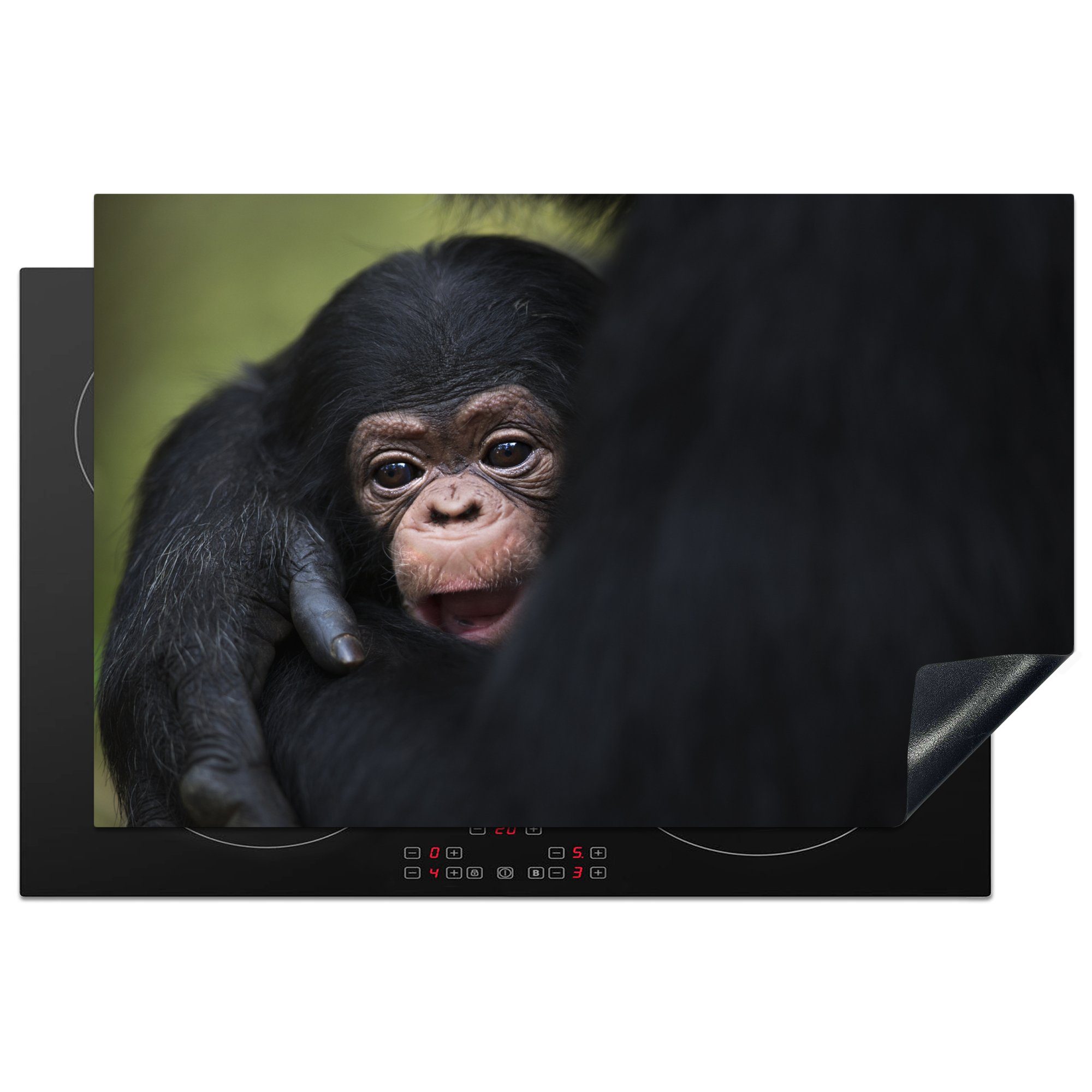 MuchoWow Herdblende-/Abdeckplatte Ein kleiner Schimpanse in den Armen seiner Mutter in Tansania, Vinyl, (1 tlg), 81x52 cm, Induktionskochfeld Schutz für die küche, Ceranfeldabdeckung