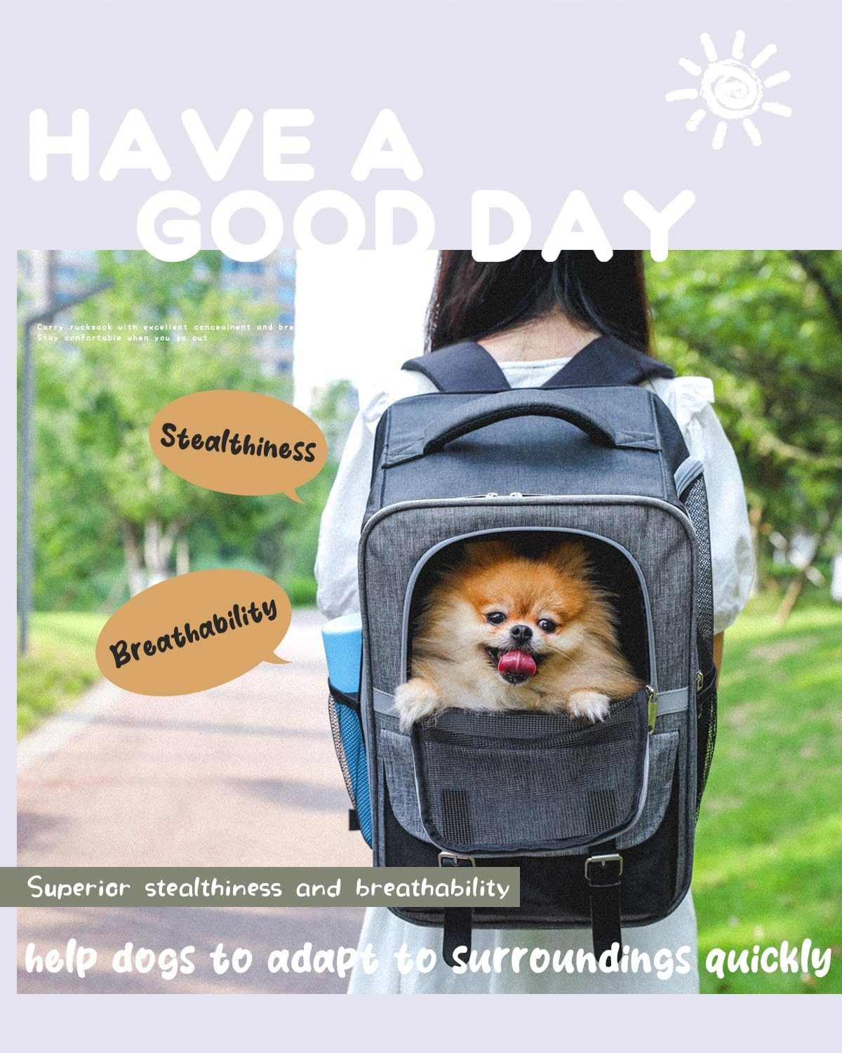 Purpurra Tiertransporttasche Haustierrucksack extra-leicht mit Netzfenster, Tragbar und Faltbar bis 7,00 kg, 30L x 23,5B x 40H cm