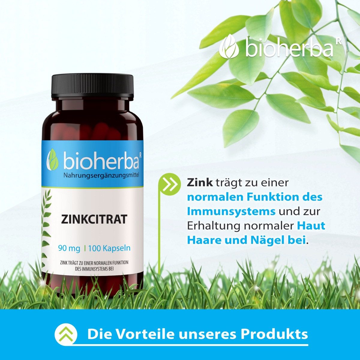 BIOHERBA R Bioherba Zinkcitrat 90 mg 100 Kapseln Nahrungsergänzungsmittel, 1 er