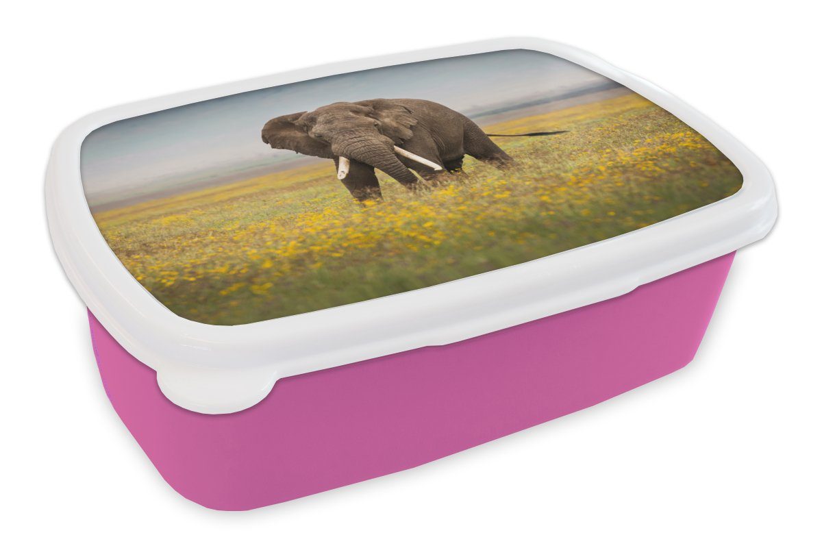 MuchoWow Lunchbox Elefant - Blumen - Gras - Tiere - Natur, Kunststoff, (2-tlg), Brotbox für Erwachsene, Brotdose Kinder, Snackbox, Mädchen, Kunststoff rosa