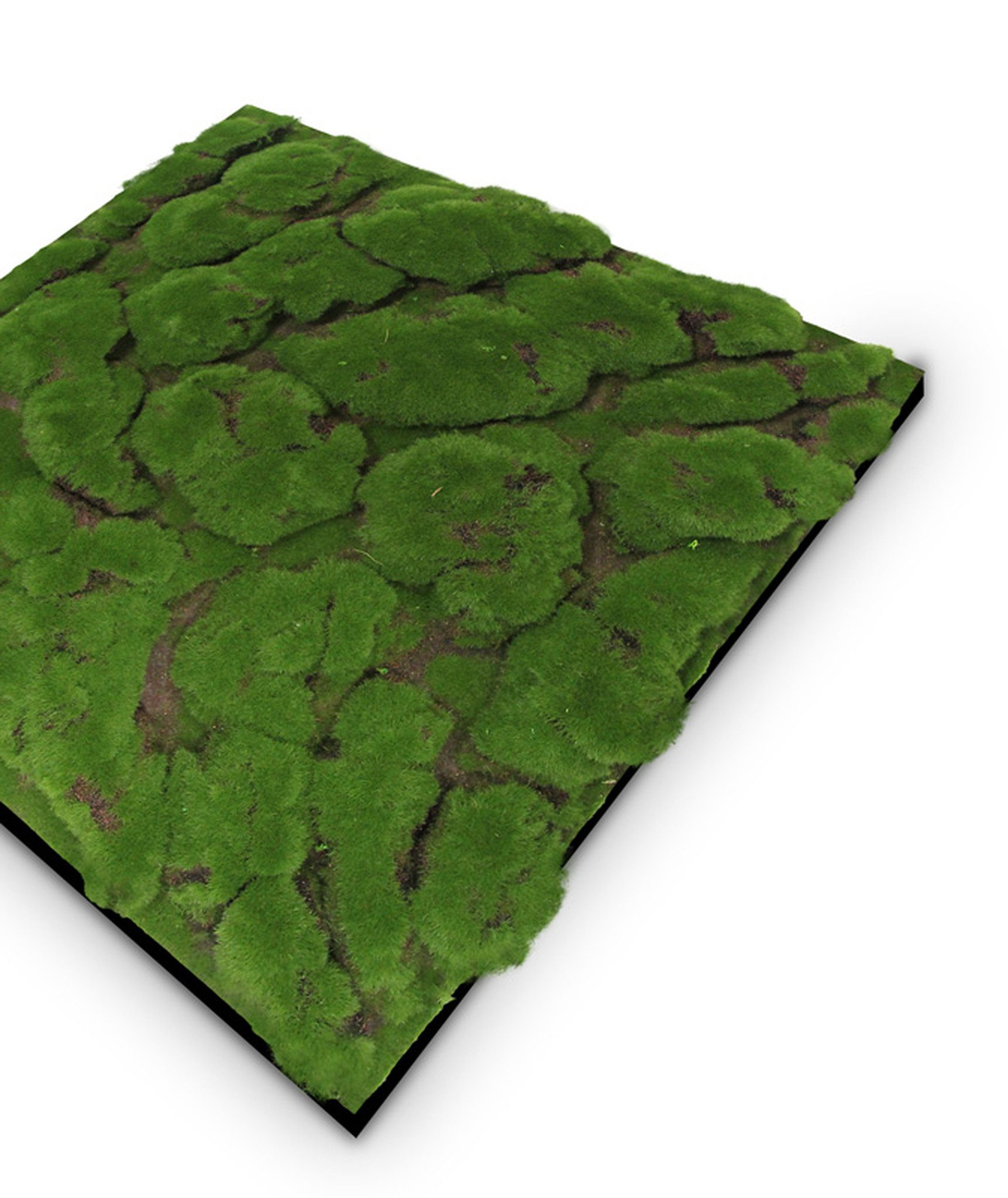 IKHEMalarka 3D Wandpaneel Pflanzenpaneele Pflanzen Deckenpaneele, günstig online kaufen