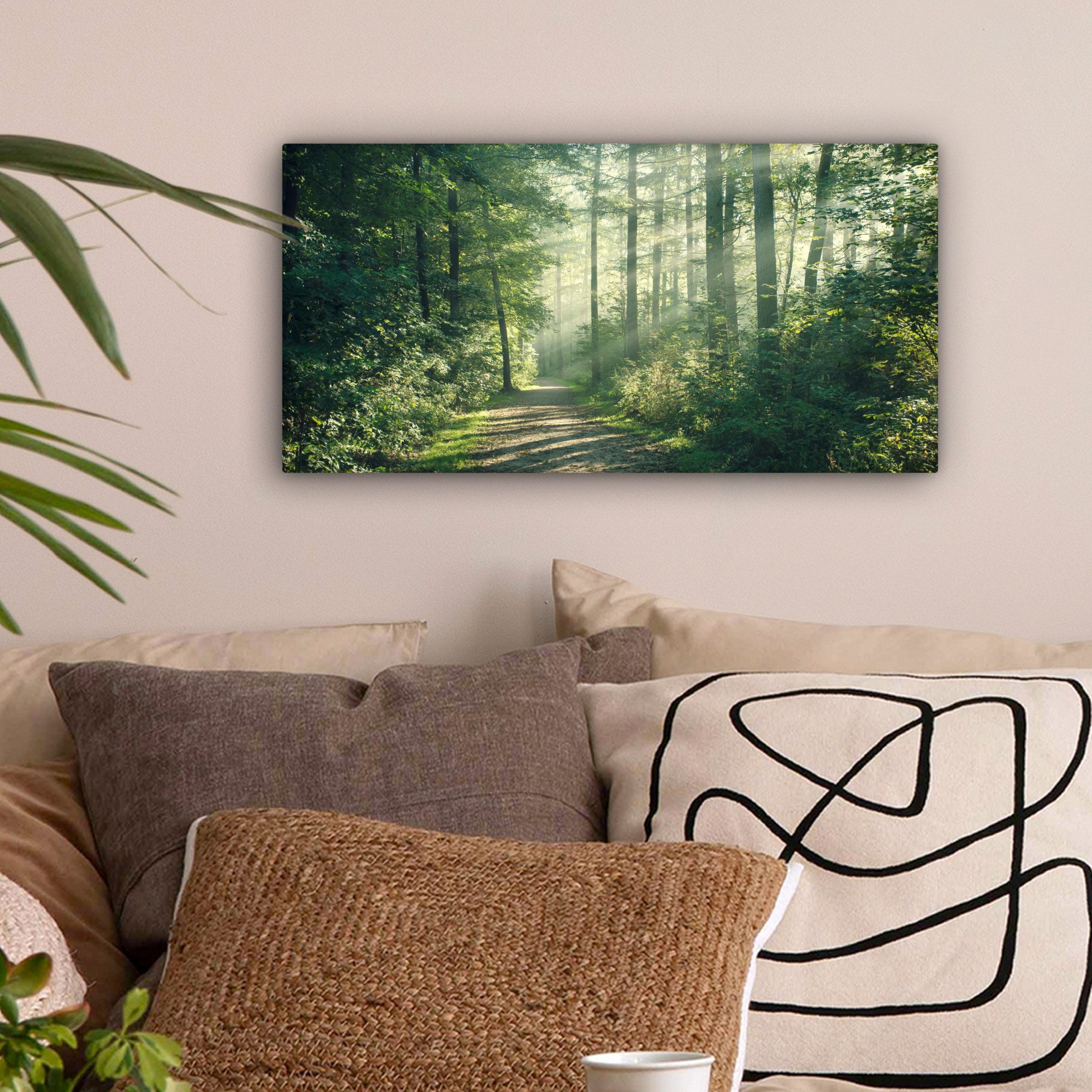 OneMillionCanvasses® Leinwandbild Panorama Wald - Weg - Sonne - Bäume - Grü günstig online kaufen