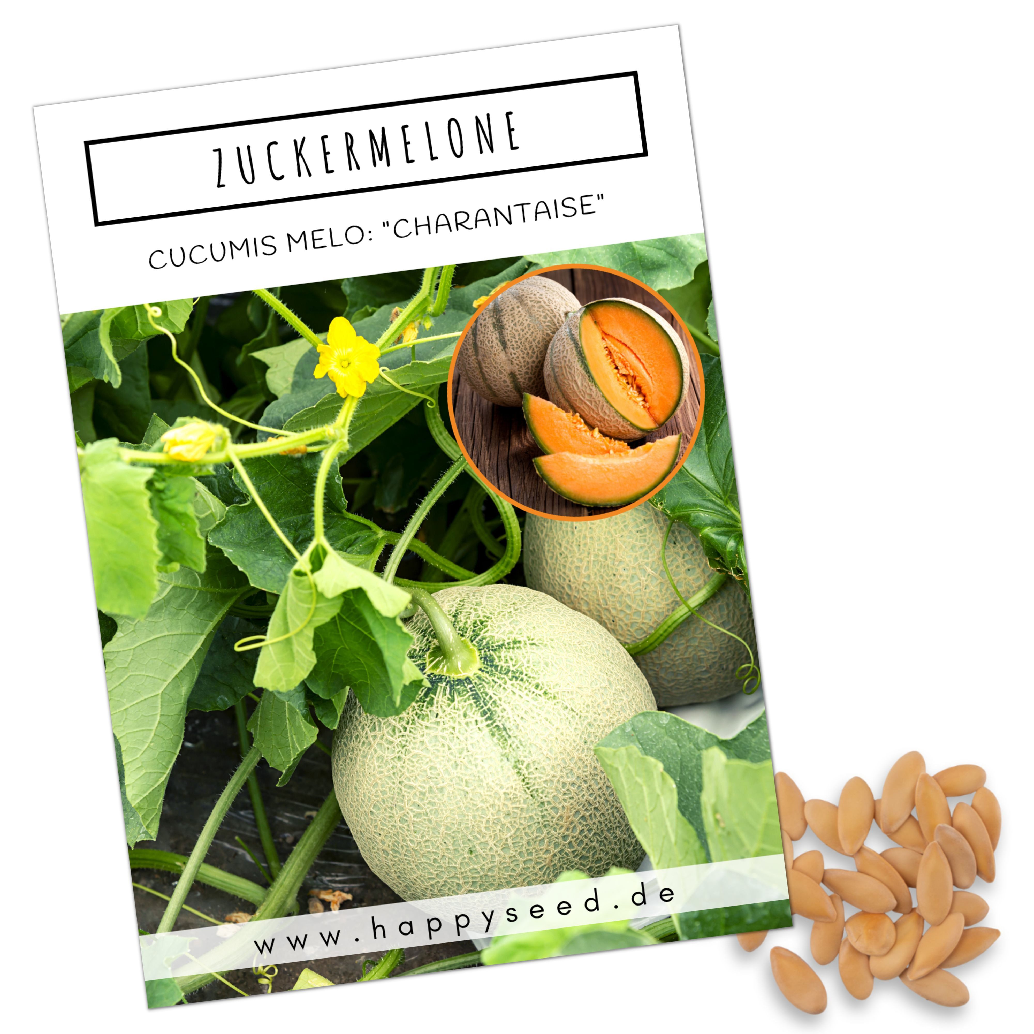 HappySeed Blumensamen Zuckermelone Samen - Cucurbita melo, Obst günstig online kaufen