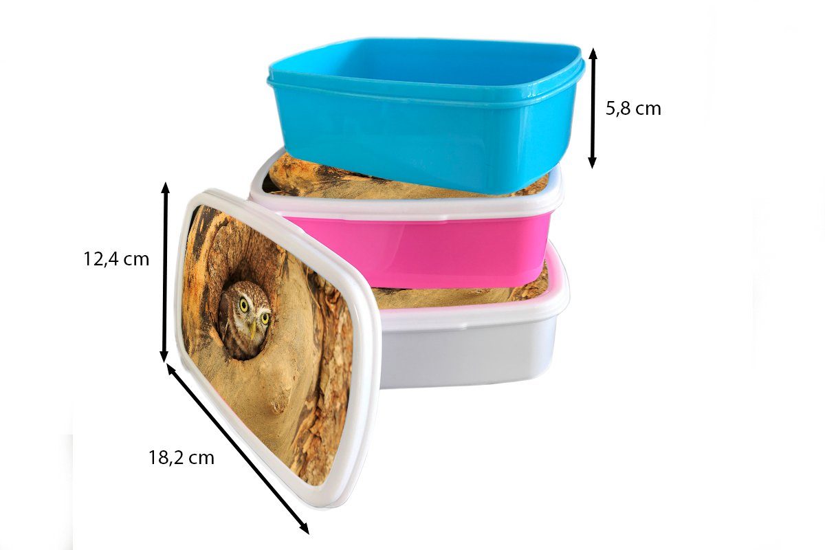 Kunststoff Kunststoff, Baum Lunchbox für Loch Brotbox rosa MuchoWow Erwachsene, aus Kinder, Mädchen, in die einem schaut, einem Brotdose Braune Snackbox, Eule, (2-tlg),