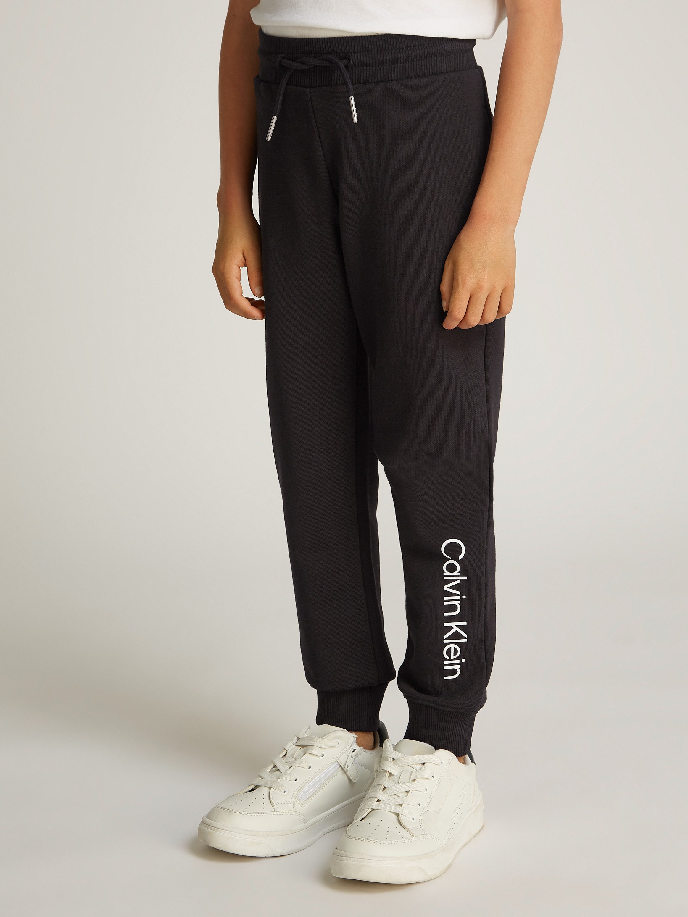 Sweathose Inst.Logo Regular Jogger