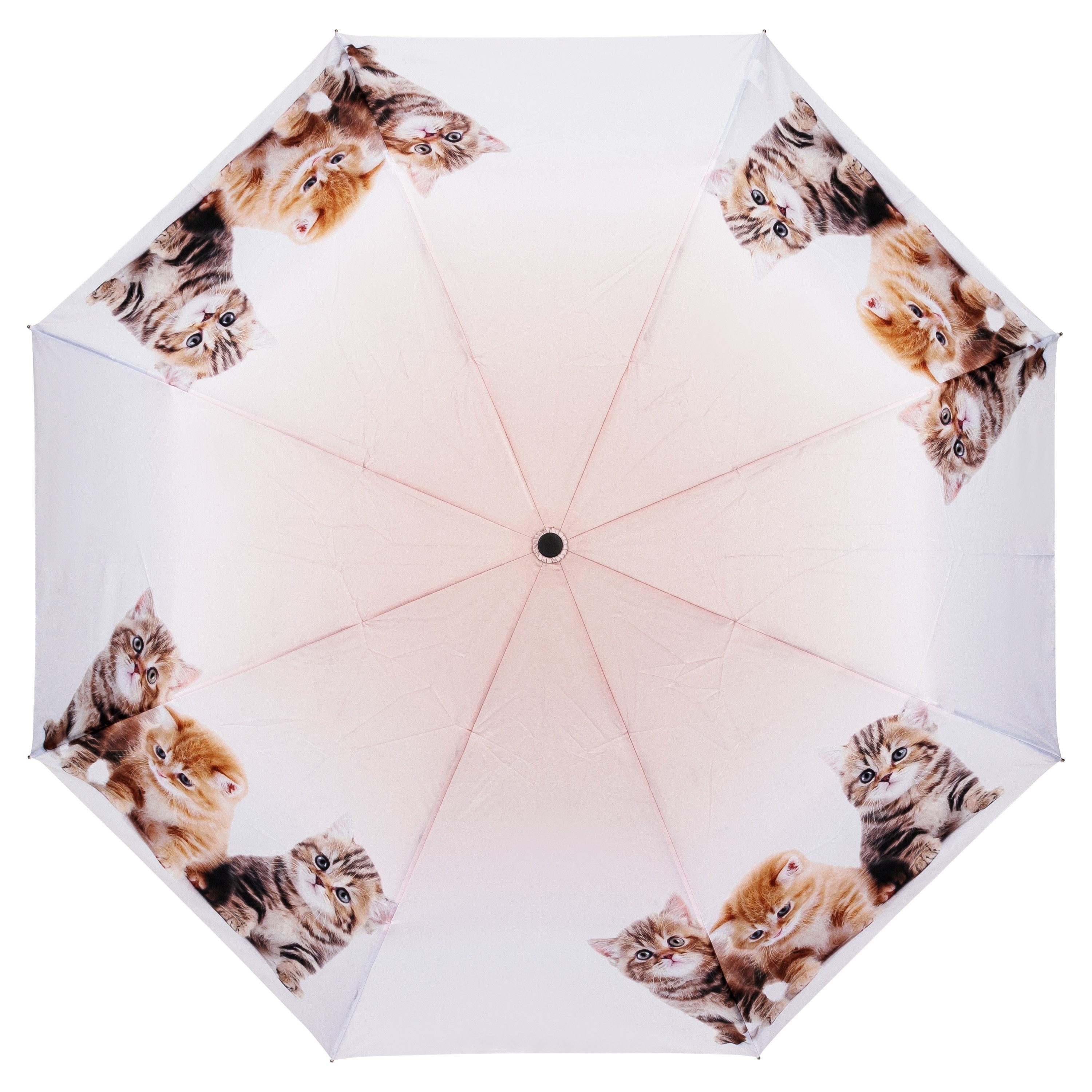 von Lilienfeld Taschenregenschirm Motivschirm Katzen Leicht Trio Tiermotiv Stabil, Kinderschirm Kätzchen