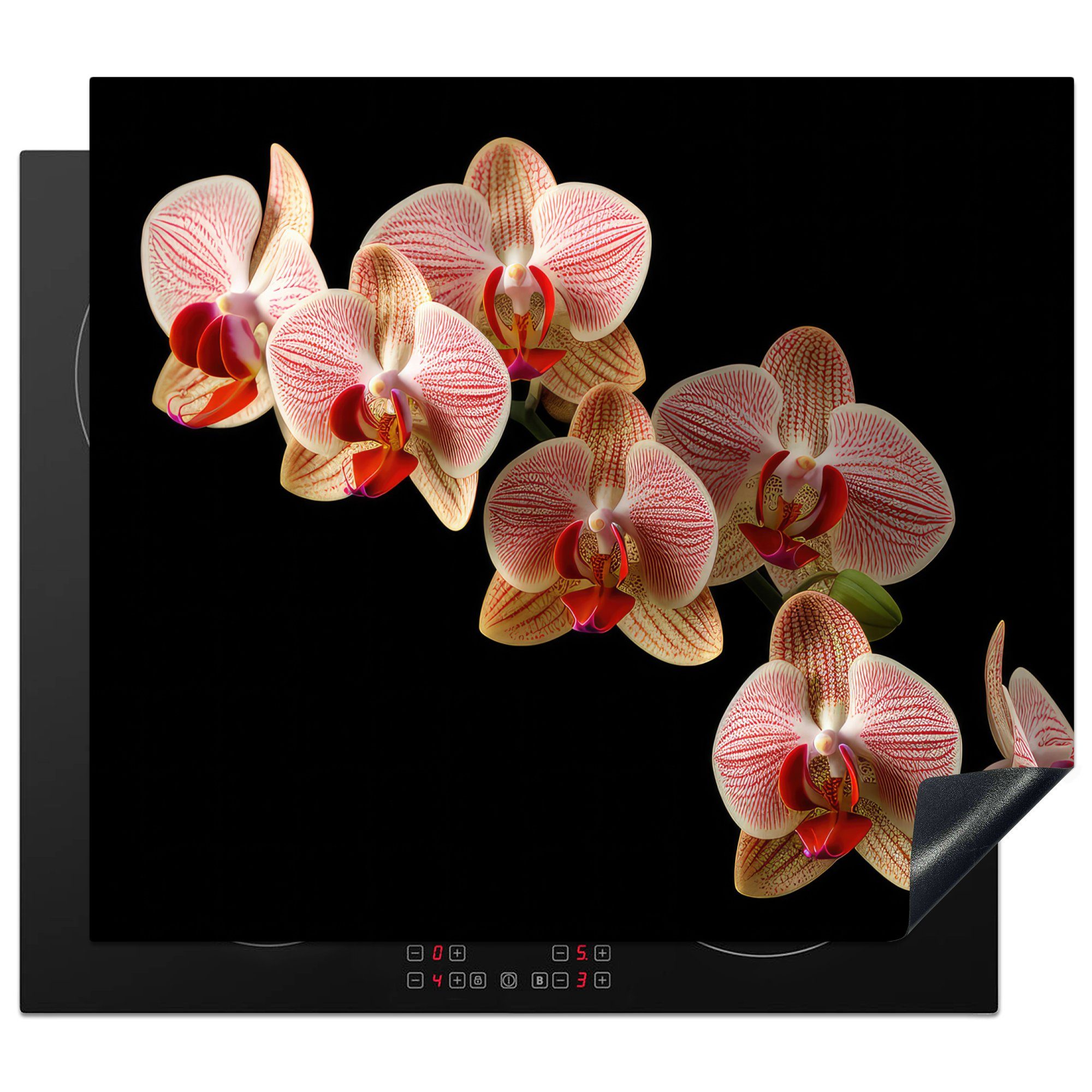 MuchoWow Herdblende-/Abdeckplatte Blumen Vinyl, cm, nutzbar, - (1 Orchidee Botanisch - Ceranfeldabdeckung - Arbeitsfläche Rosa tlg), Mobile 60x52 Natur, 