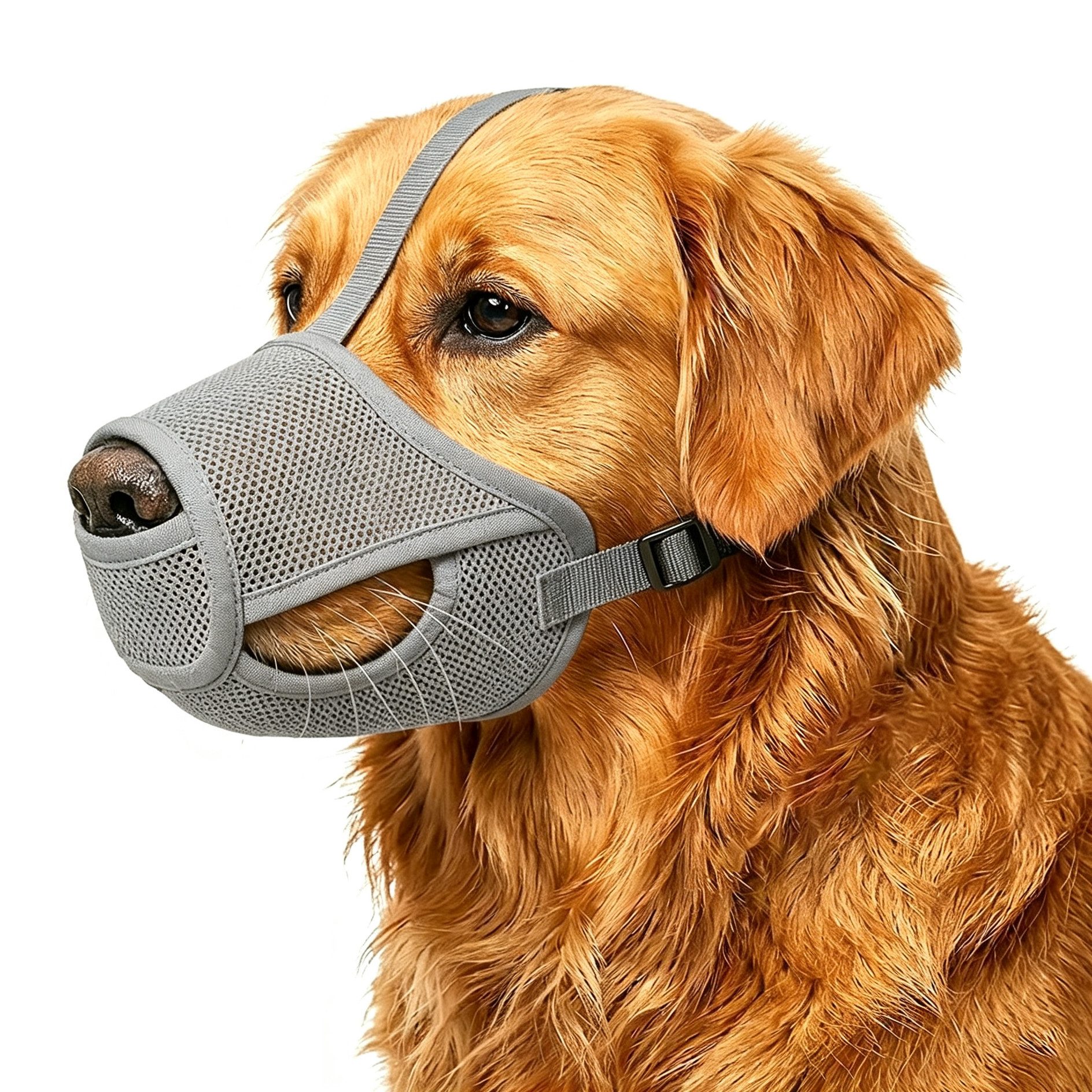 Ledander Maulkorb Weicher Maulkorb aus Mesh für Hunde, verstellbarer Maulkorb, geeignet für große, mittelgroße und kleine Hunde