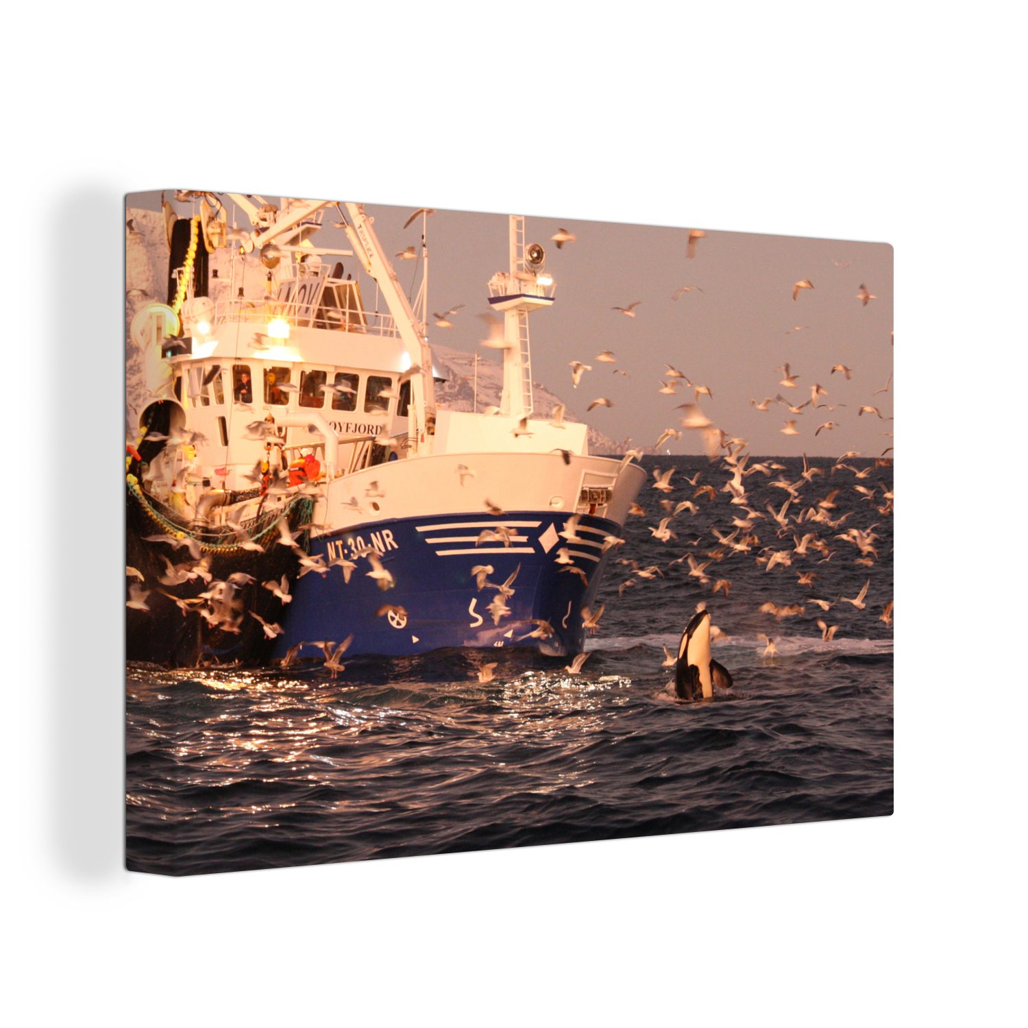 St), cm Leinwandbild Wanddeko, Aufhängefertig, Vögel, Wandbild 30x20 (1 OneMillionCanvasses® Leinwandbilder, und Fischerboot