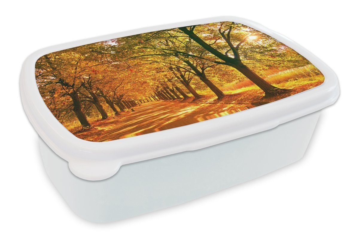 MuchoWow Lunchbox Wald - Herbst - Jahreszeiten - Ländlich, Kunststoff, (2-tlg), Brotbox für Kinder und Erwachsene, Brotdose, für Jungs und Mädchen weiß