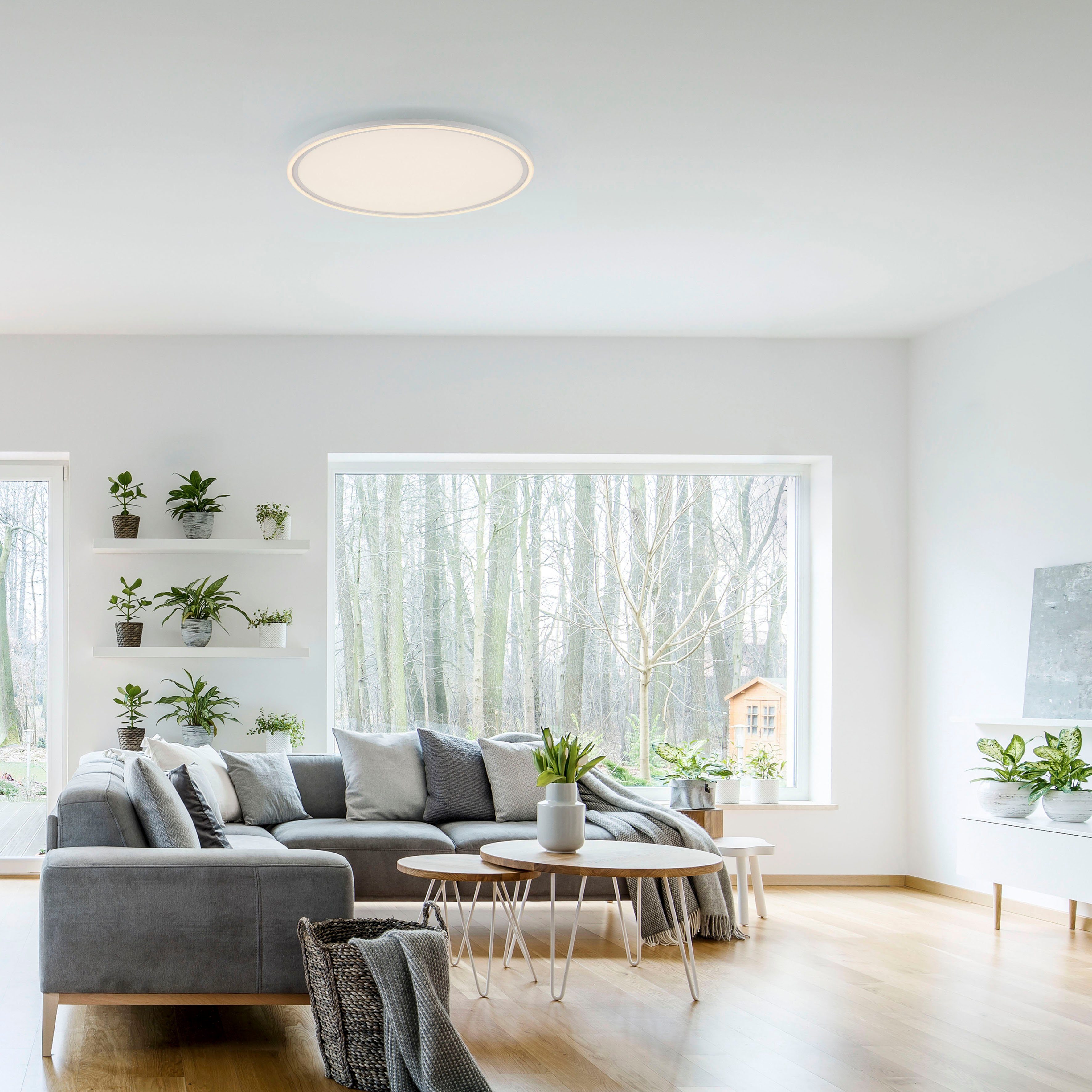 JUST LIGHT Deckenleuchte EDGING, CCT - über Fernbedienung, dimmbar über Fernbedienung, getrennt schaltbar, LED fest integriert, warmweiß - kaltweiß, LED, Fernbedienung, Funk inkl., separat steuerbar (Schalter)