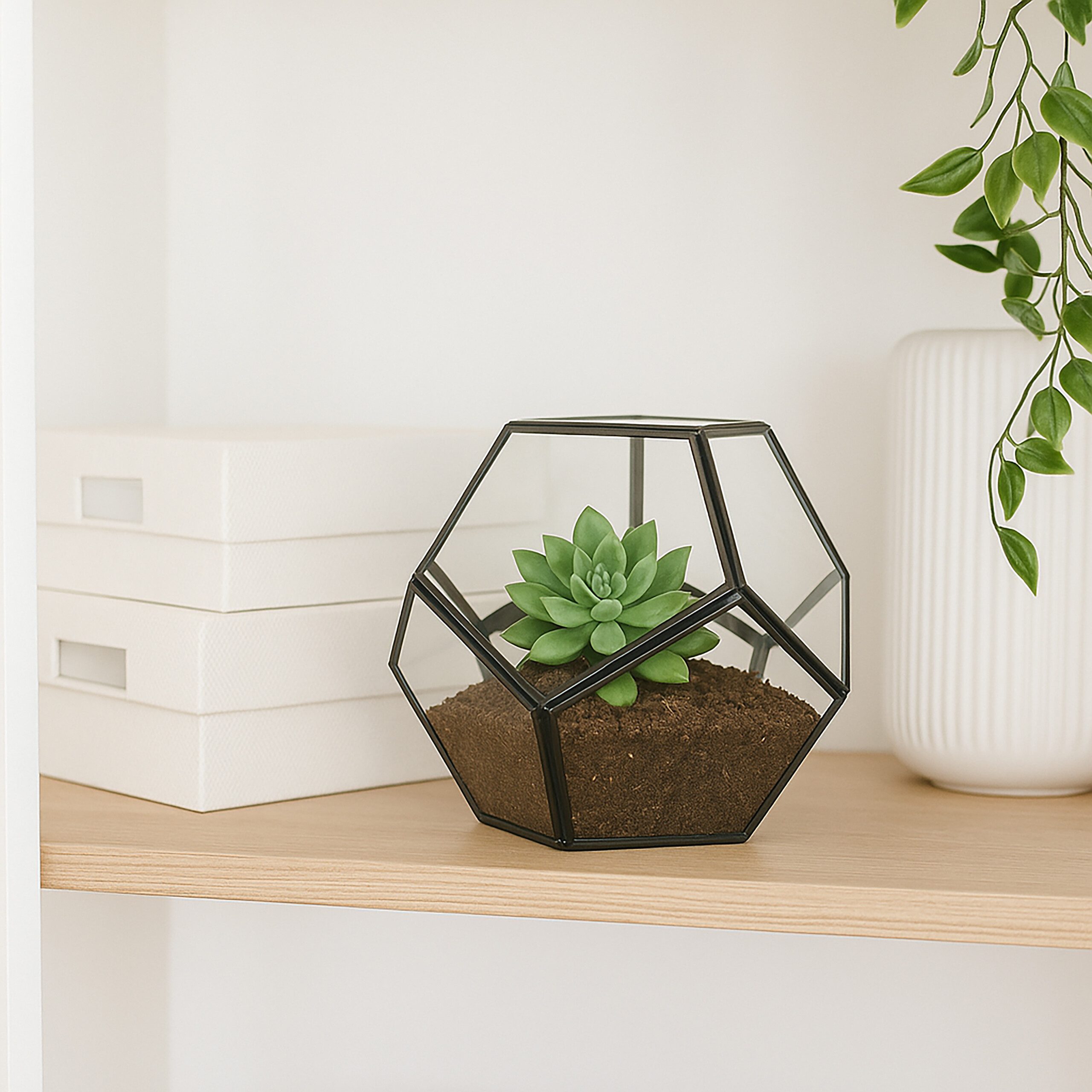 relaxdays Dekovase Geometrisches Pflanzenterrarium aus Glas günstig online kaufen