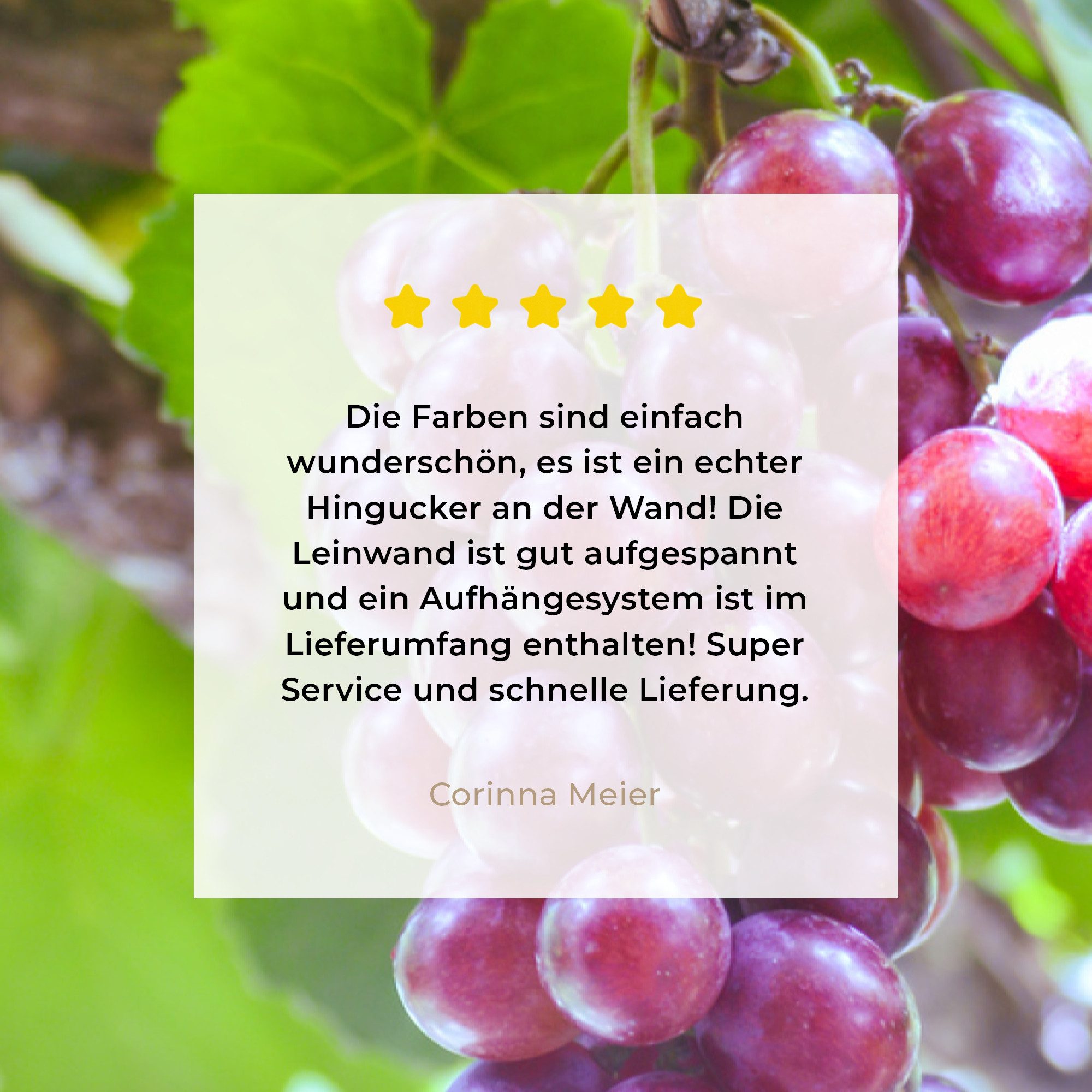 OneMillionCanvasses® Leinwandbild Rote Trauben im Weinberg auf einem Zweig, Fotodruck (1 St), Leinwand Canvas Wandbild, Wanddekoration 20x30 cm – Bild 5 von 5