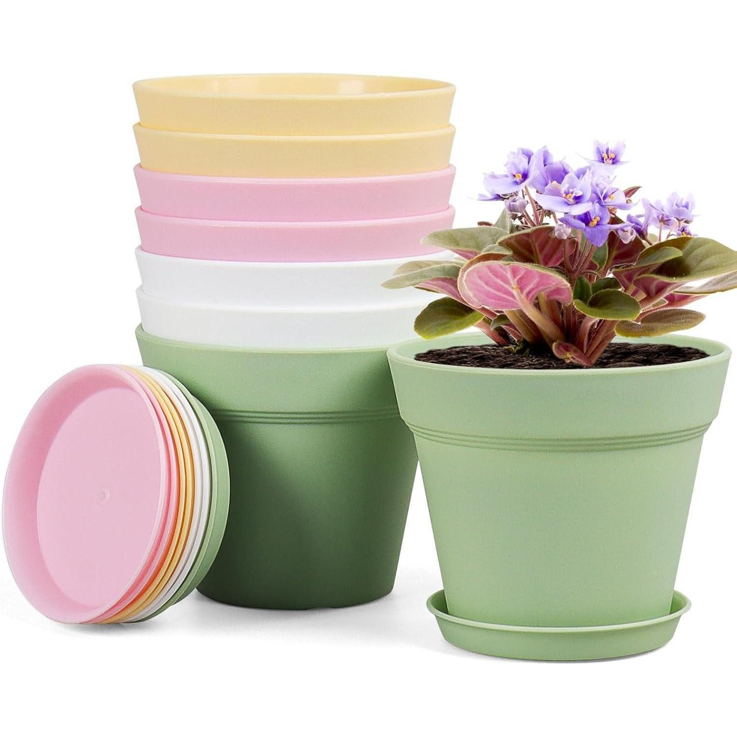 LuxusKollektion Blumentopf Blumentopf 10cm 8er Plastik Übertopf Ablauflöcher Balkon Farbe 4IN