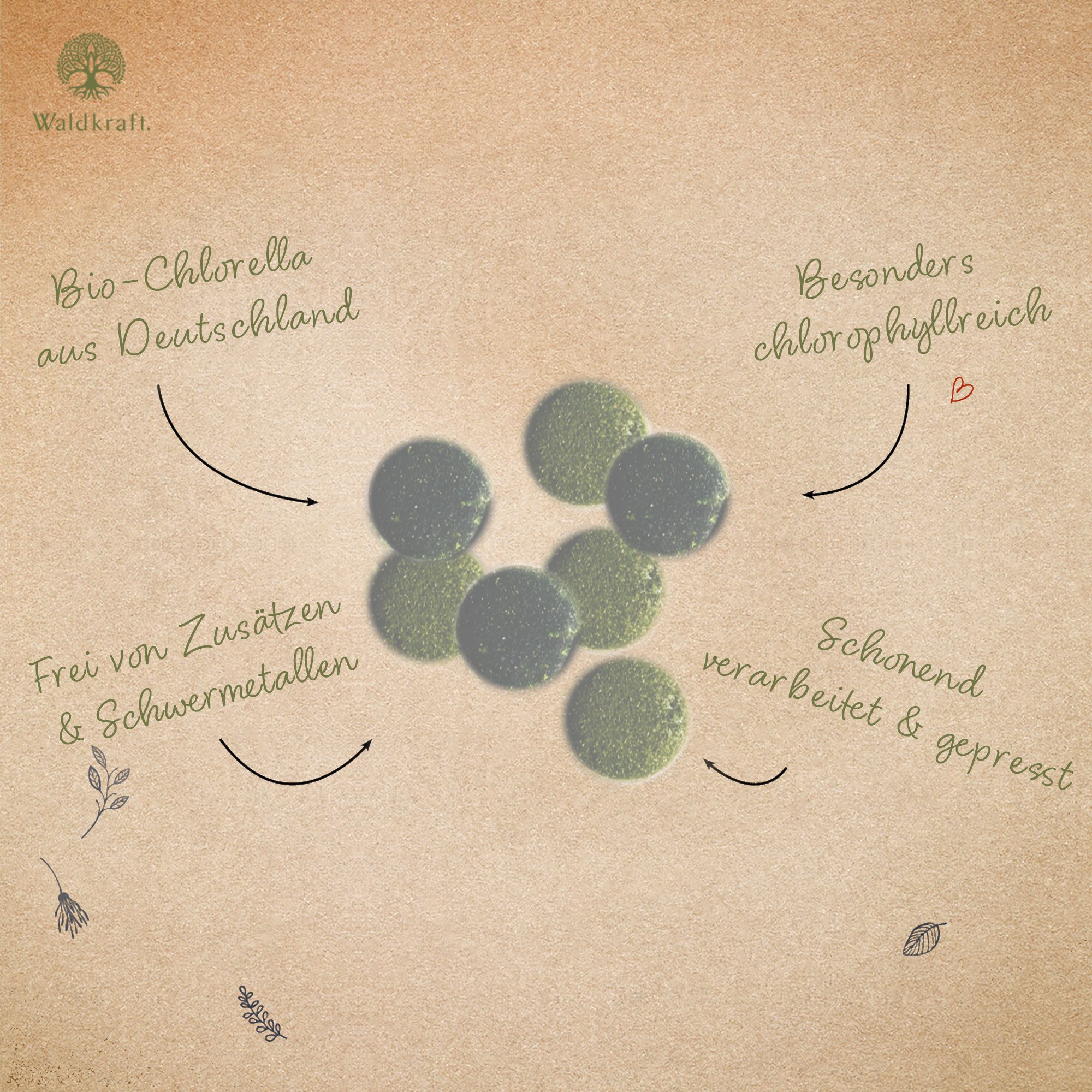 Waldkraft. Erdling BIO Chlorella Presslinge Kapseln, 100 % Bio-Chlorella - Für eine grüne Ergänzung Deiner täglichen Ernährung – Vegan à 220 St., 110 g
