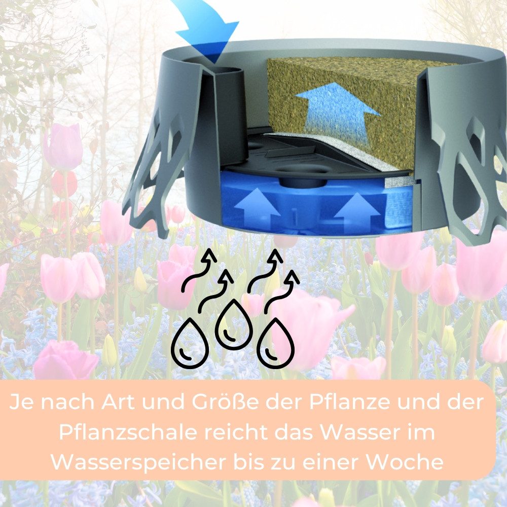 GarPet Pflanzschale 2er Set Grabschale für Friedhof Pflanzschale Grab Vase bronze Ø 30 – Bild 4 von 5