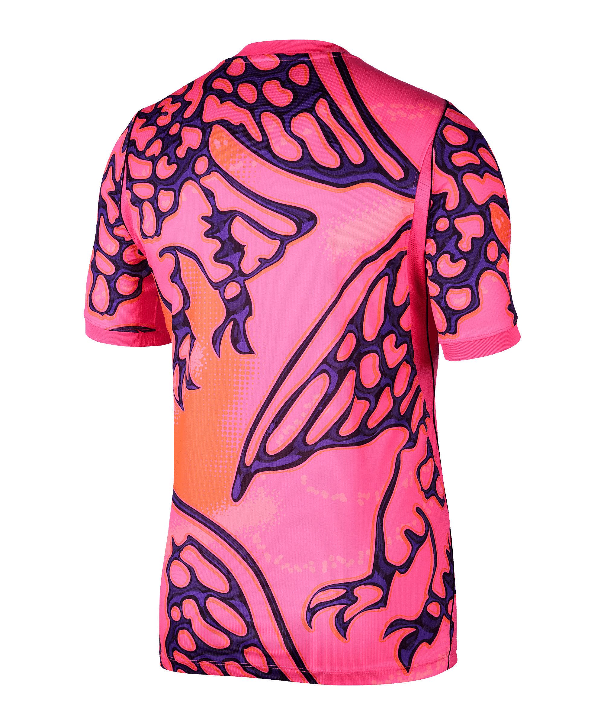 Nike Fußballtrikot Nike Performance NFF Nigeria Torwarttrikot WM 2026 Weltmeisterschaft