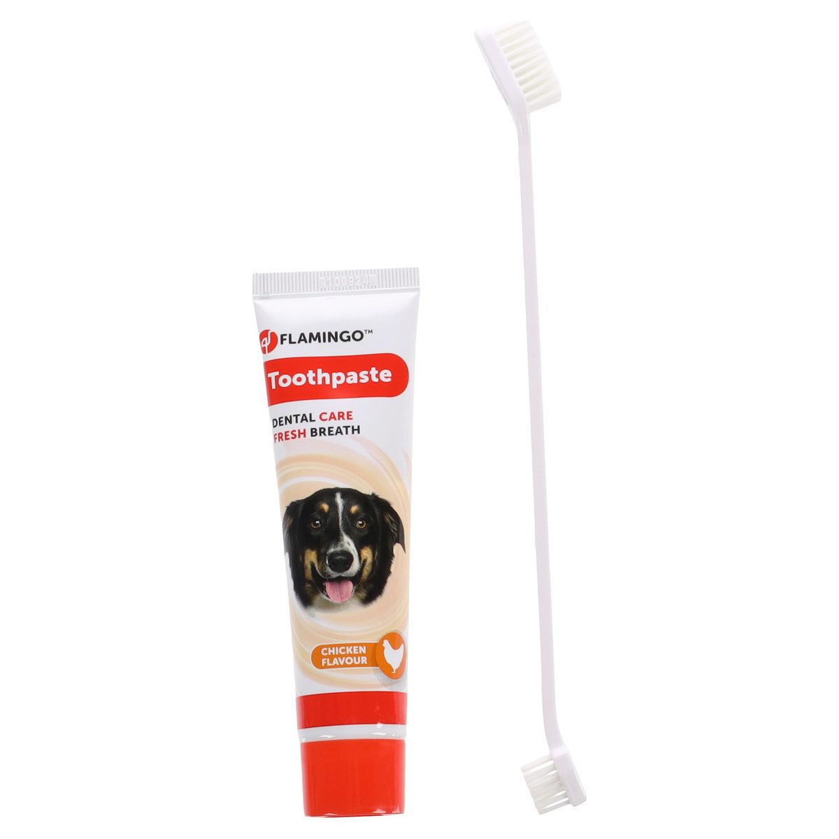 Tierzahnbürste Zahnpasta Dafra Hühnergeschmack + Zahnbürste 85 g