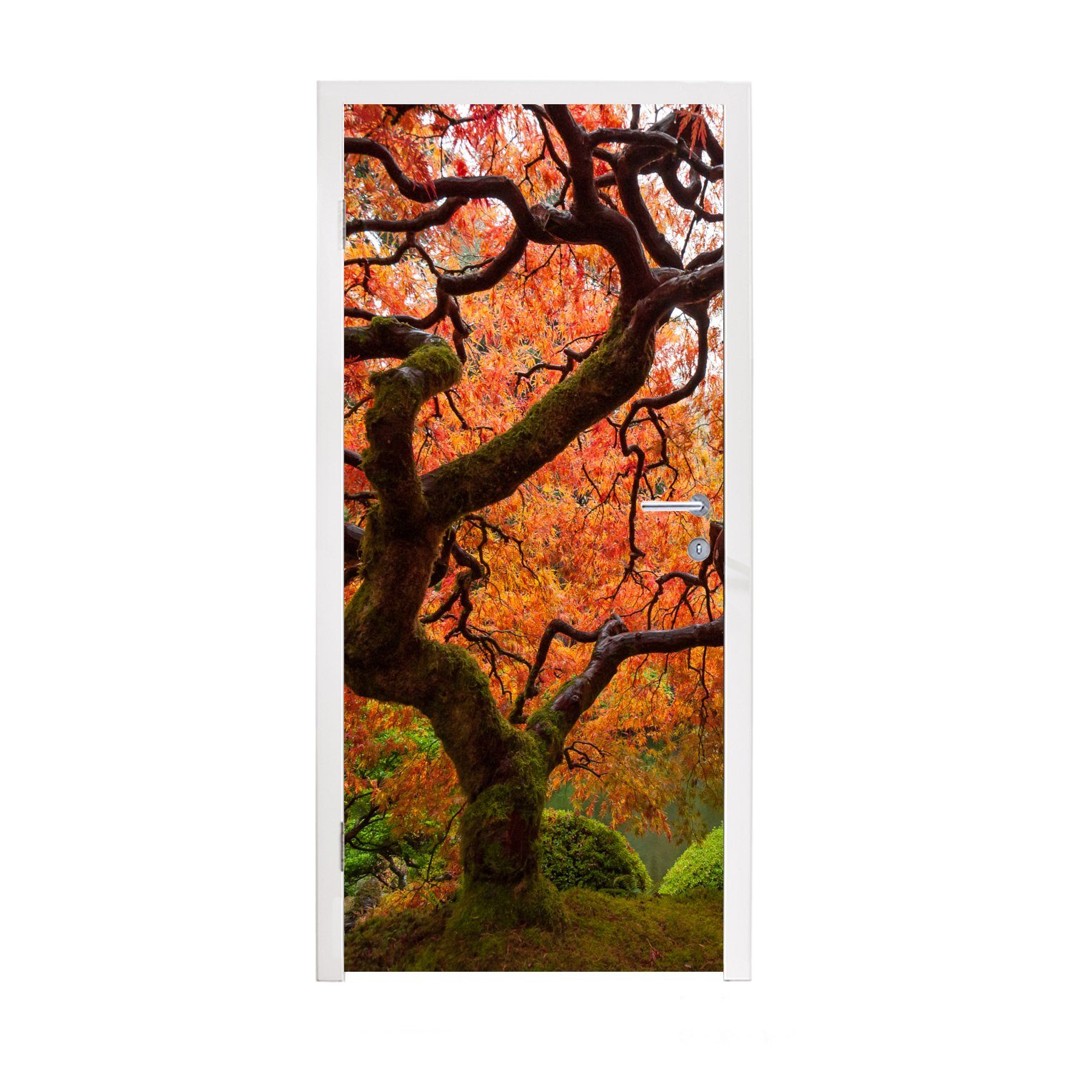 Ahorns, Türtapete Matt, Fototapete Tür, Türaufkleber, 75x205 für cm MuchoWow japanischen St), eines bedruckt, (1 Bild