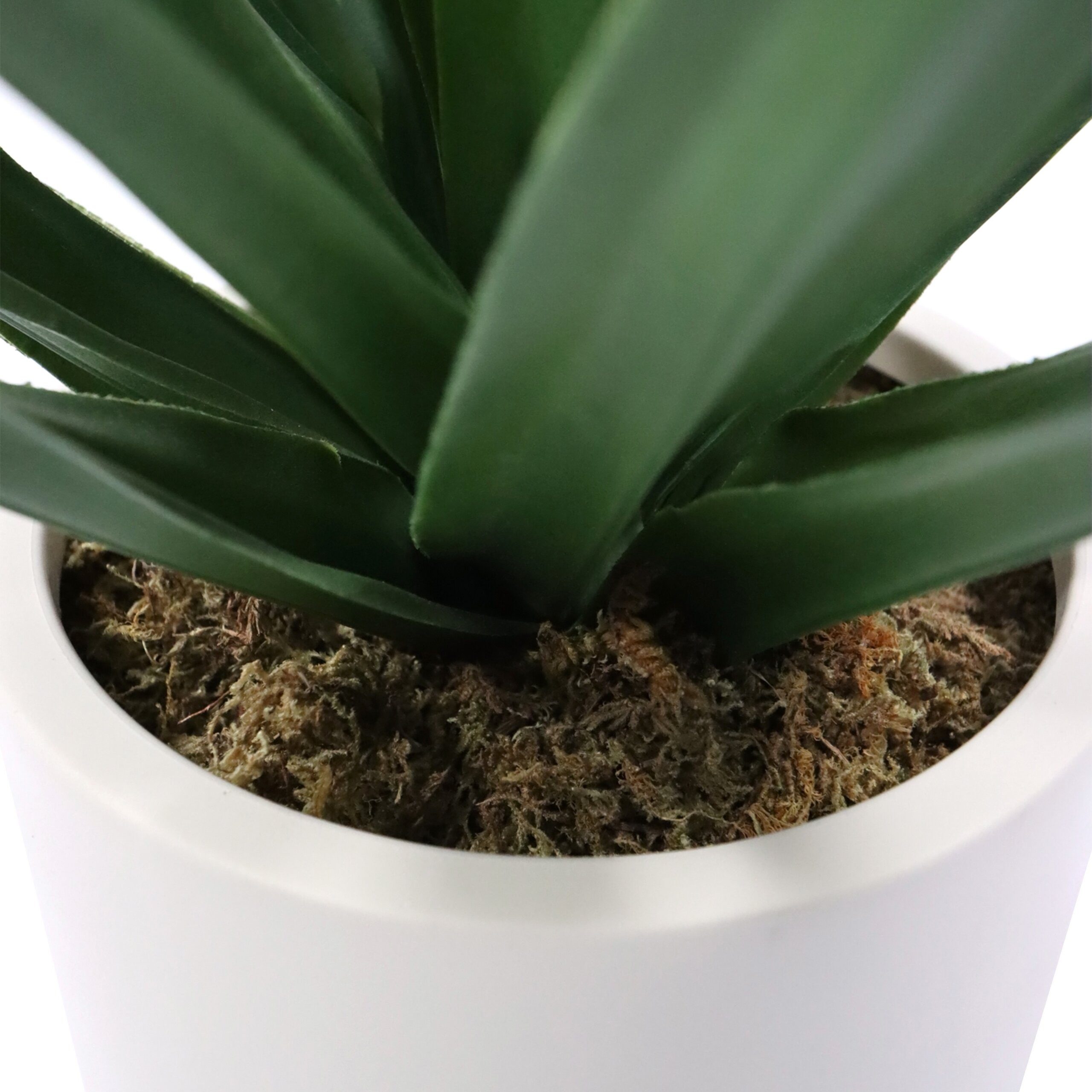 Kunstpflanze Agave Künstliche Pflanze im Topf Höhe 45.0 cm Agave, hjh OFFICE, Höhe 45.0 cm, Künstliche Zimmerpflanze Agave im beigen Kunststoff-Topf