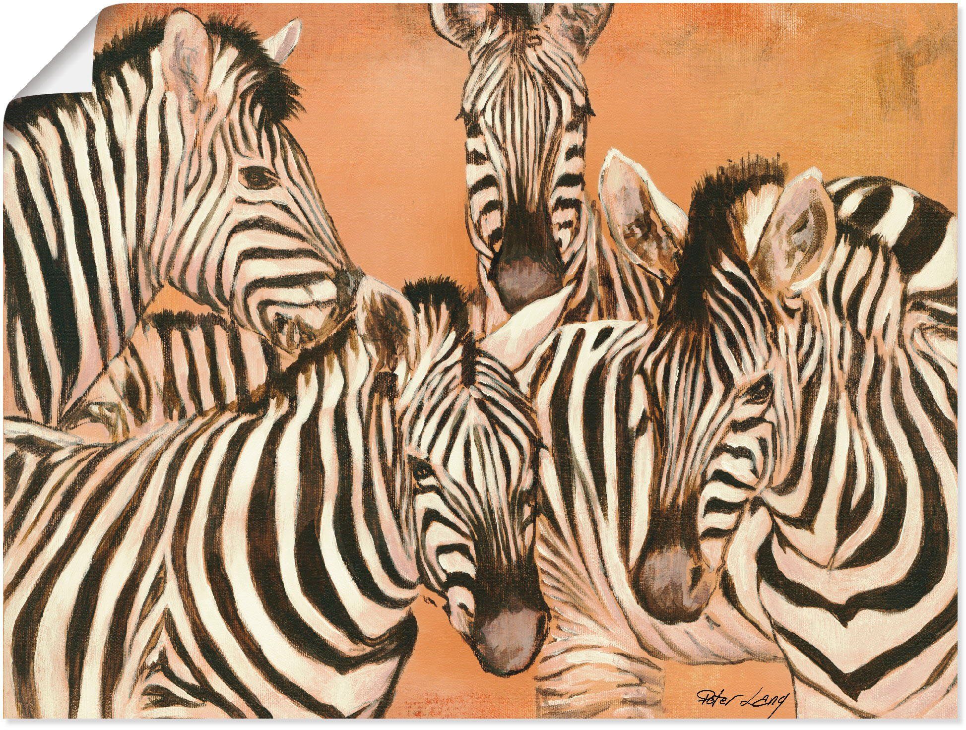 Zebras, Wandaufkleber (1 Poster Wildtiere versch. in Artland St), Leinwandbild, oder Größen Wandbild als Alubild,