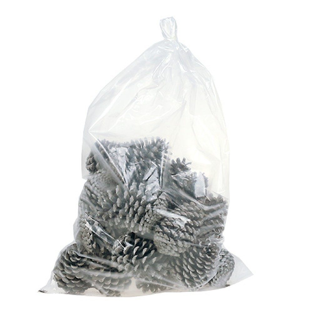 Trockenblume Maritima Zapfen groß 10cm-14cm Naturdeko weißgewaschen 25er, Viana, Höhe 14 cm