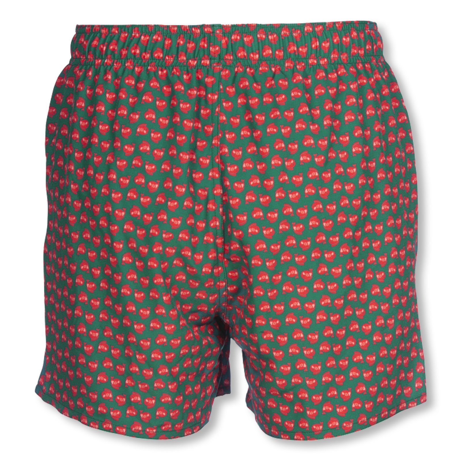 Arena Badeshorts Jimbaran Short im frischen Design