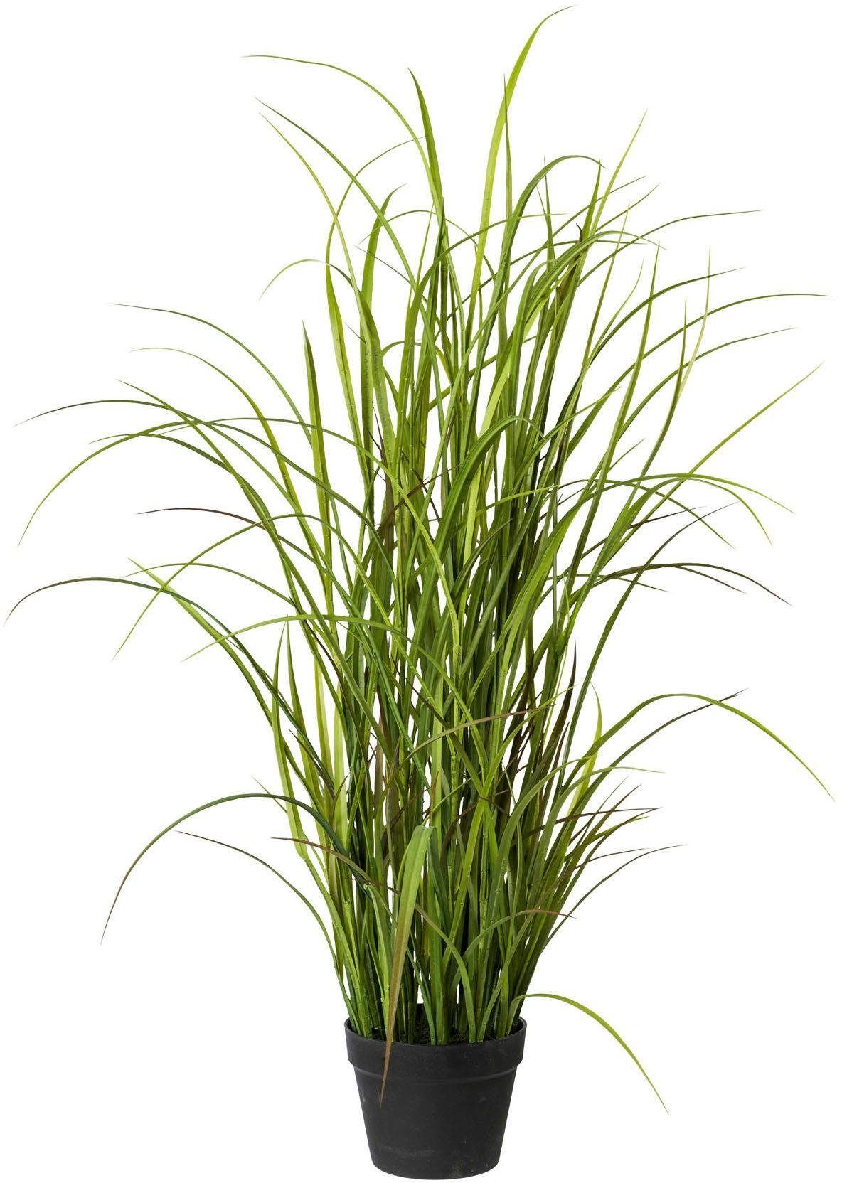 Kunstgras, Creativ green, Höhe 120 cm günstig online kaufen