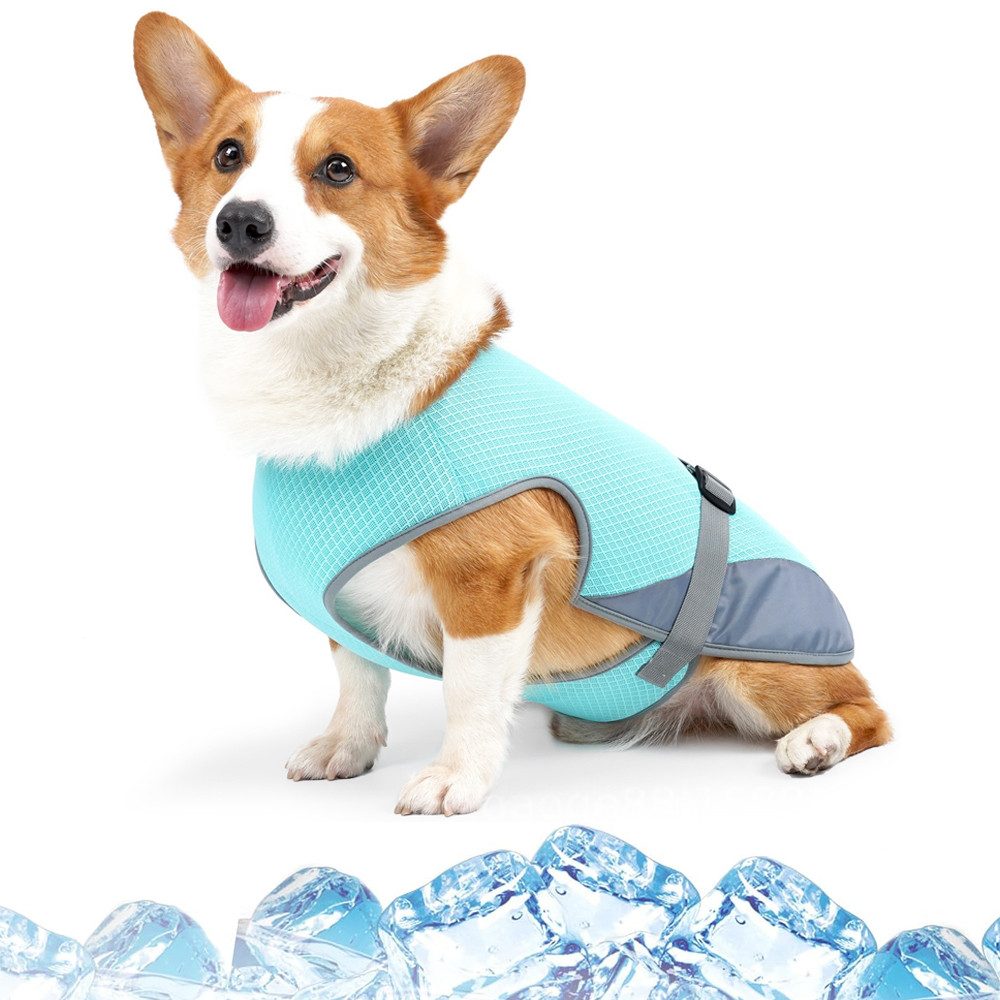Diwzbyn Hundemantel Kühlweste für Hunde, Hundekühlungsmantel für heiße Sommertage, Kühljacke für Aktivitäten Draußen Wandern Training