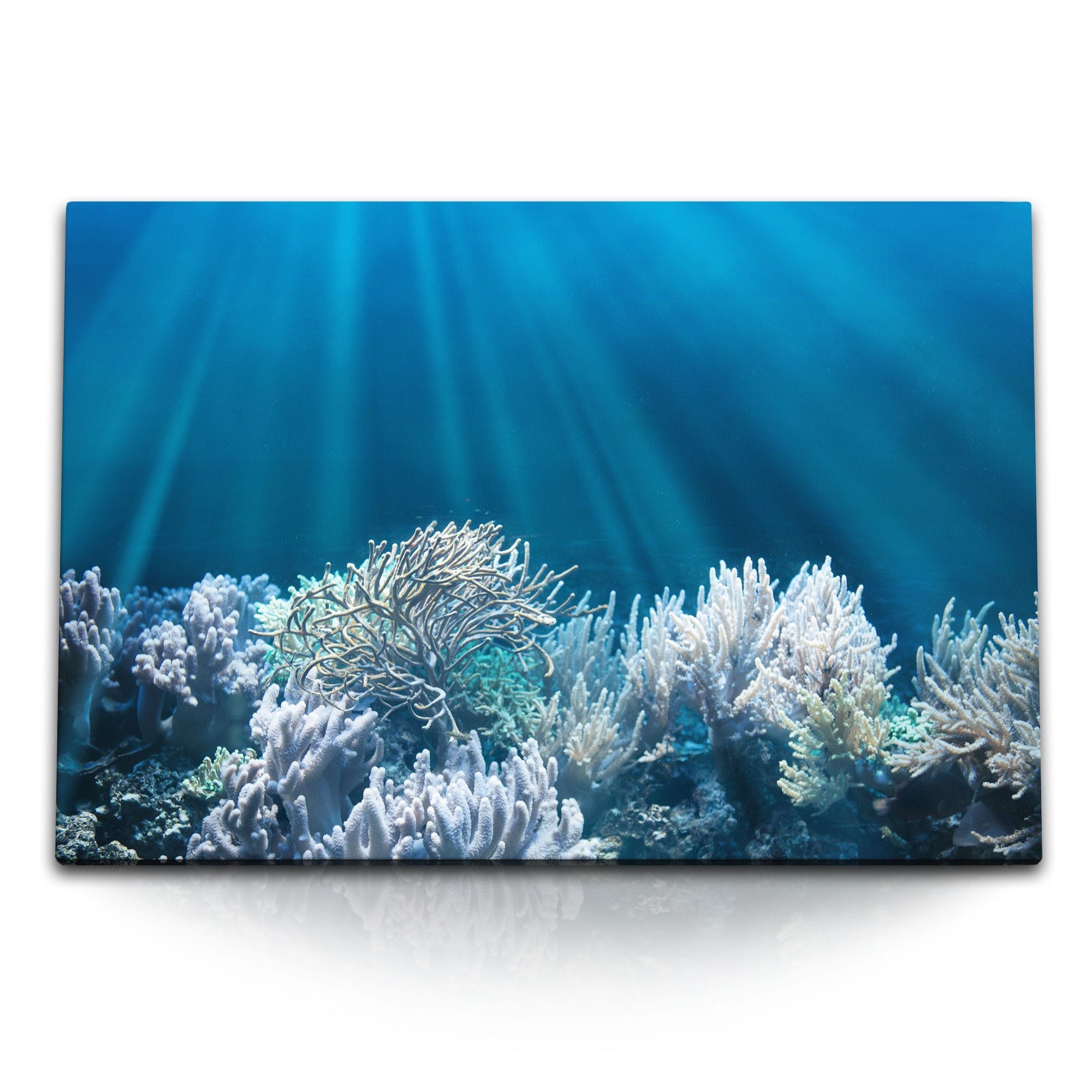 Sinus Art Leinwandbild 120x80cm Wandbild auf Leinwand Korallen Korallenriff Unterwasserfotogr, (1 St)