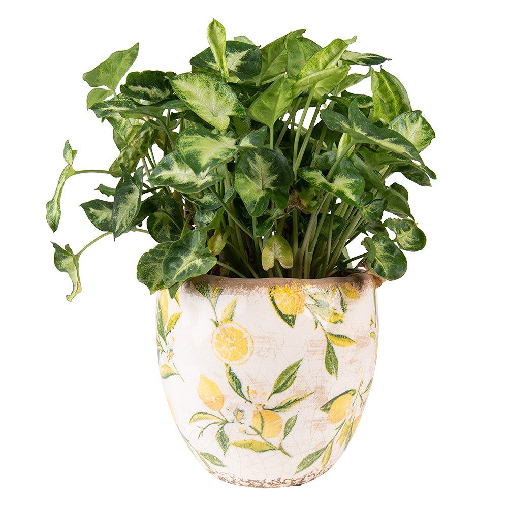 Clayre & Eef Blumentopf Clayre & Eef Blumentopf „Zitrone“ – Gelb, Rund, 18x17cm, Keramik