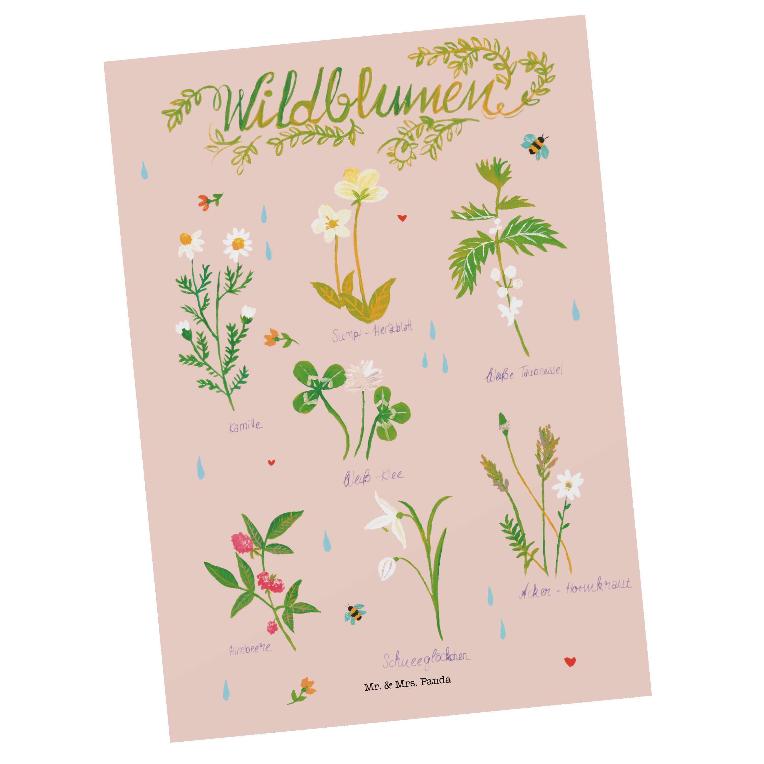 Mr. & Mrs. Panda Postkarte Wildblumen - Geschenk, Postkarte, Natur, Ansichtskarte, Dekoration, p, Matte Rückseite
