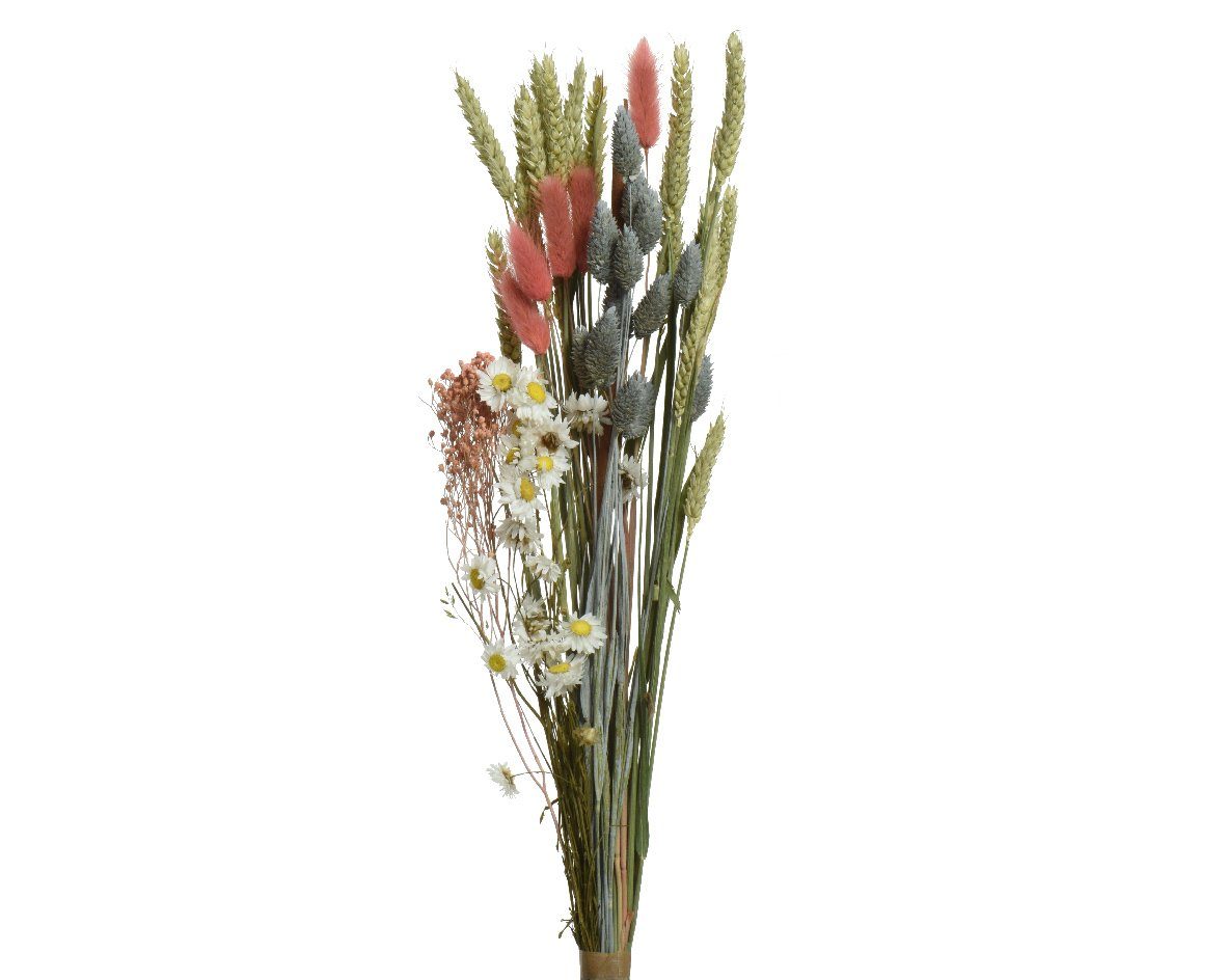 Trockenblume, Decoris season decorations, Trockenblumen Strauß Blumen und Gräser Mix 67,5cm grün / rosa 1 Bund