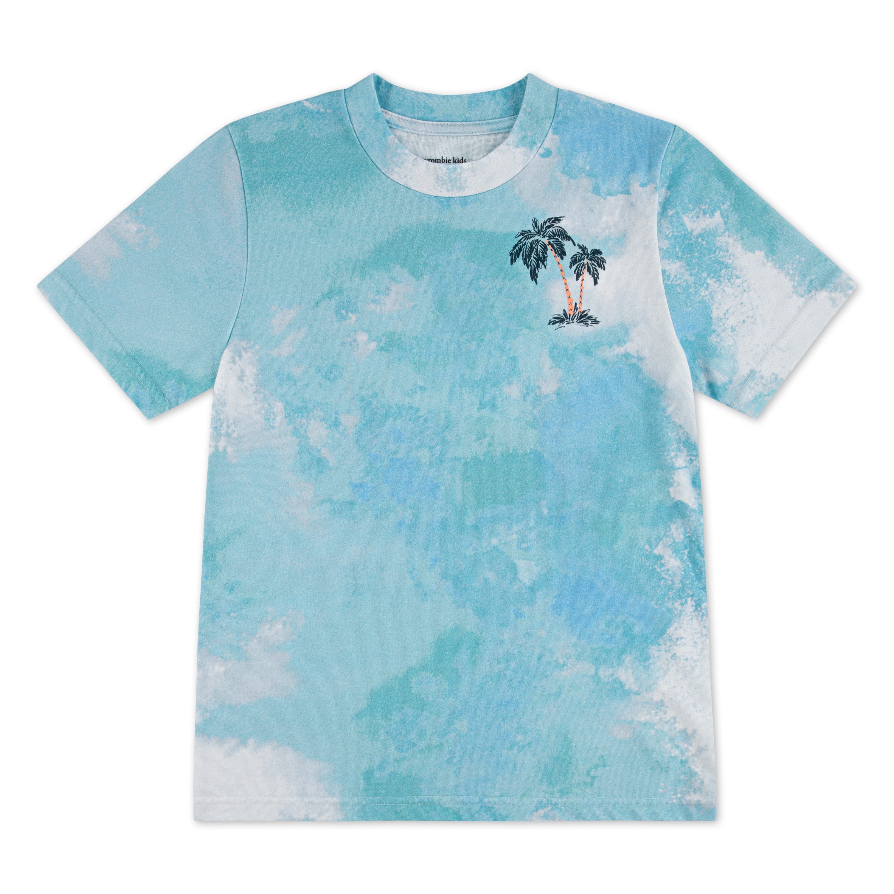 Abercrombie Kids Rundhalsshirt AFB PALM SPRINGS TEE im Batik-Look und mit großem Rückenprint, für Boys