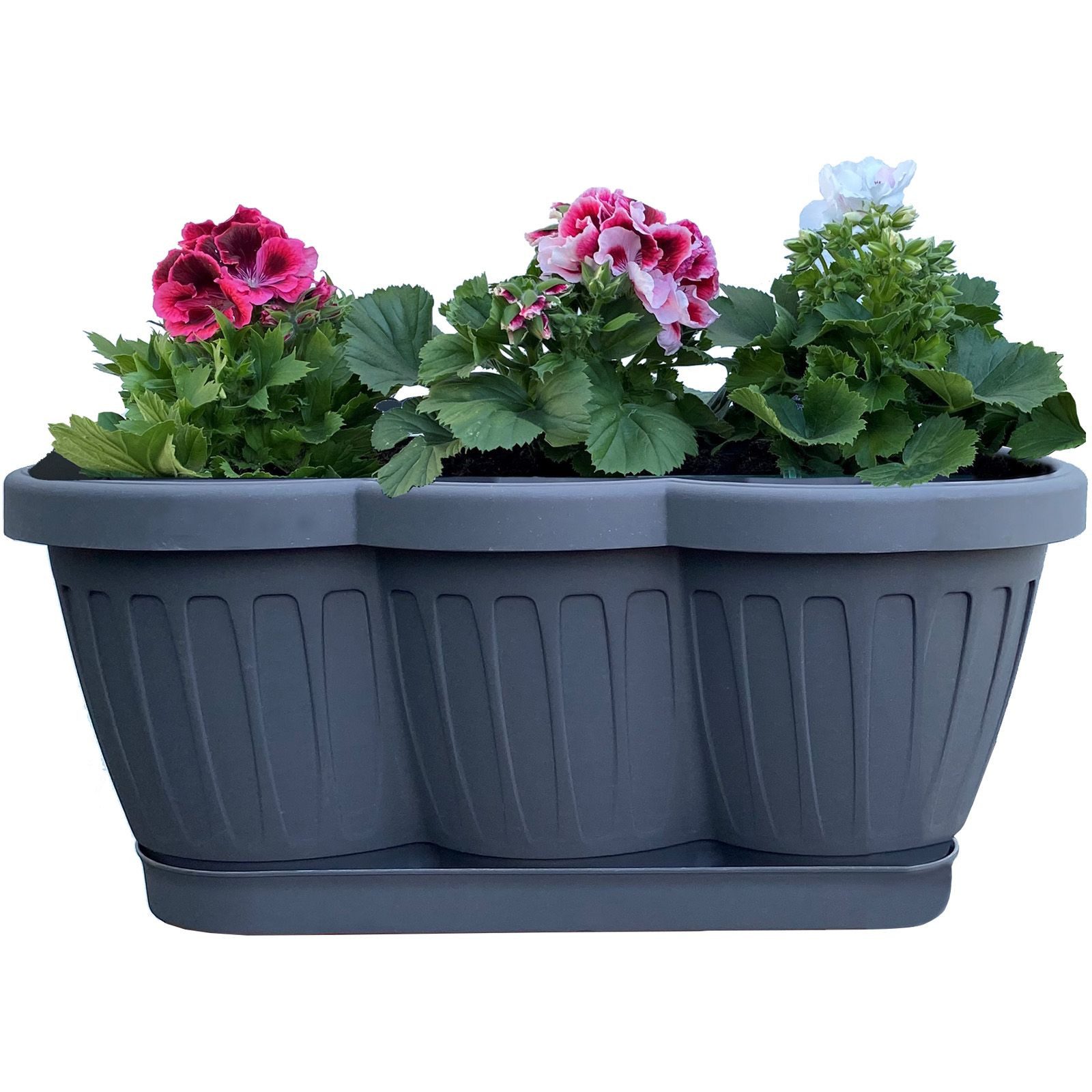 BURI Blumenkasten 1er Set 40cm Blumenkasten Pflanzkasten Anthrazit mit Bewässerung