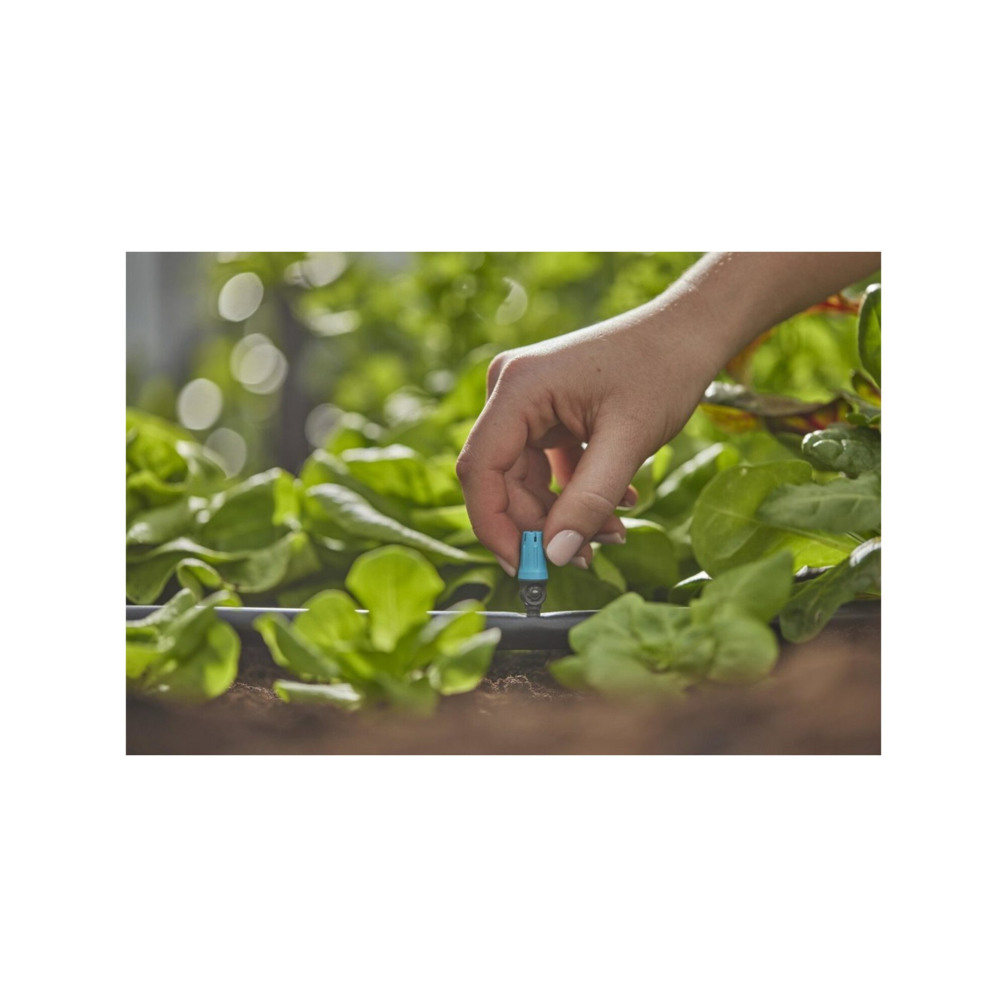 GARDENA Bewässerungssystem Gardena Endkleinflächendüse Inhalt: 10 Stück MDS
