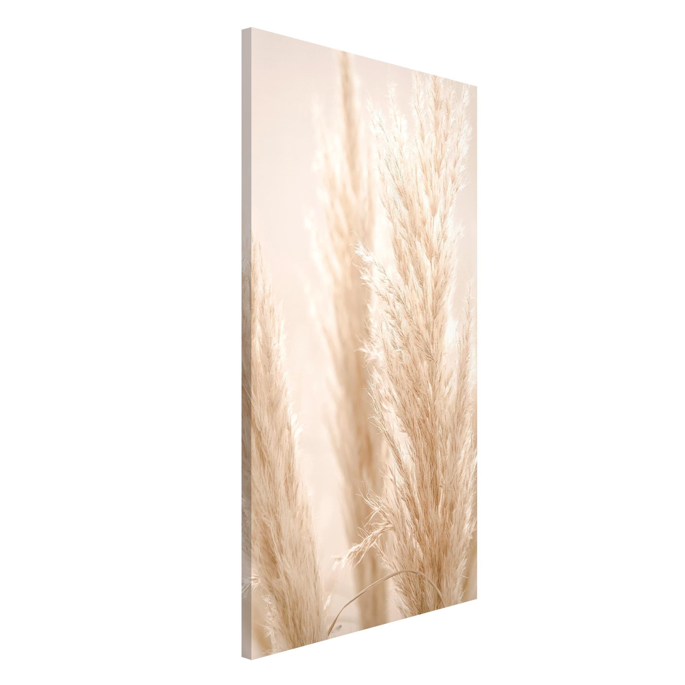 Bilderdepot24 Magnettafel Küche beige Pampasgras im Sonnenlicht, (1-tlg., Magnetboard Pinnwand für die Wand - metallische Tafel für Magnete), Magnetwand groß mit Motiv Büro Memoboard magnetisch Hochformat