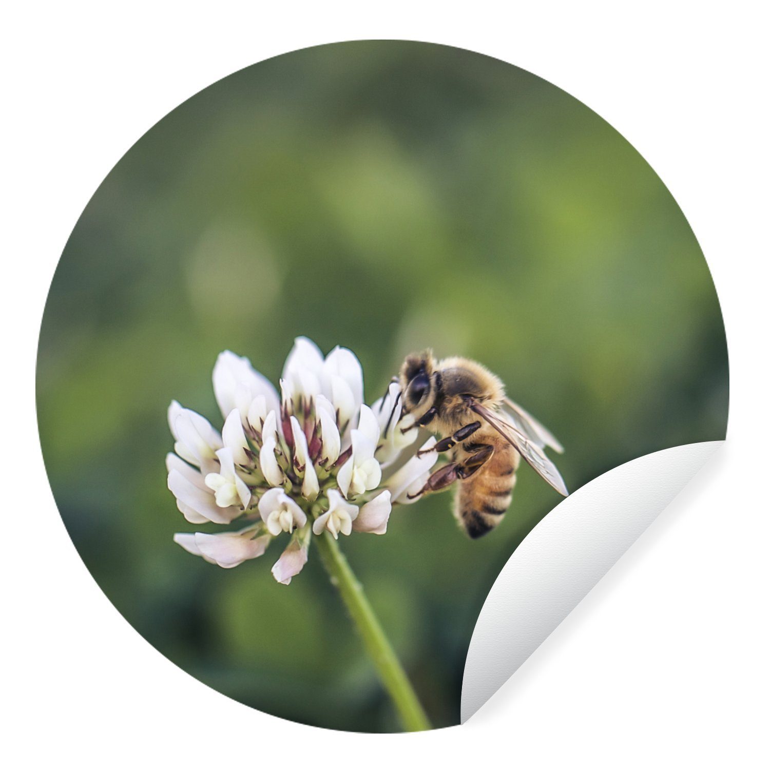 MuchoWow Wandsticker Biene - Insekt - Blume (1 St), Tapetenkreis für Kinderzimmer, Tapetenaufkleber, Rund, Wohnzimmer
