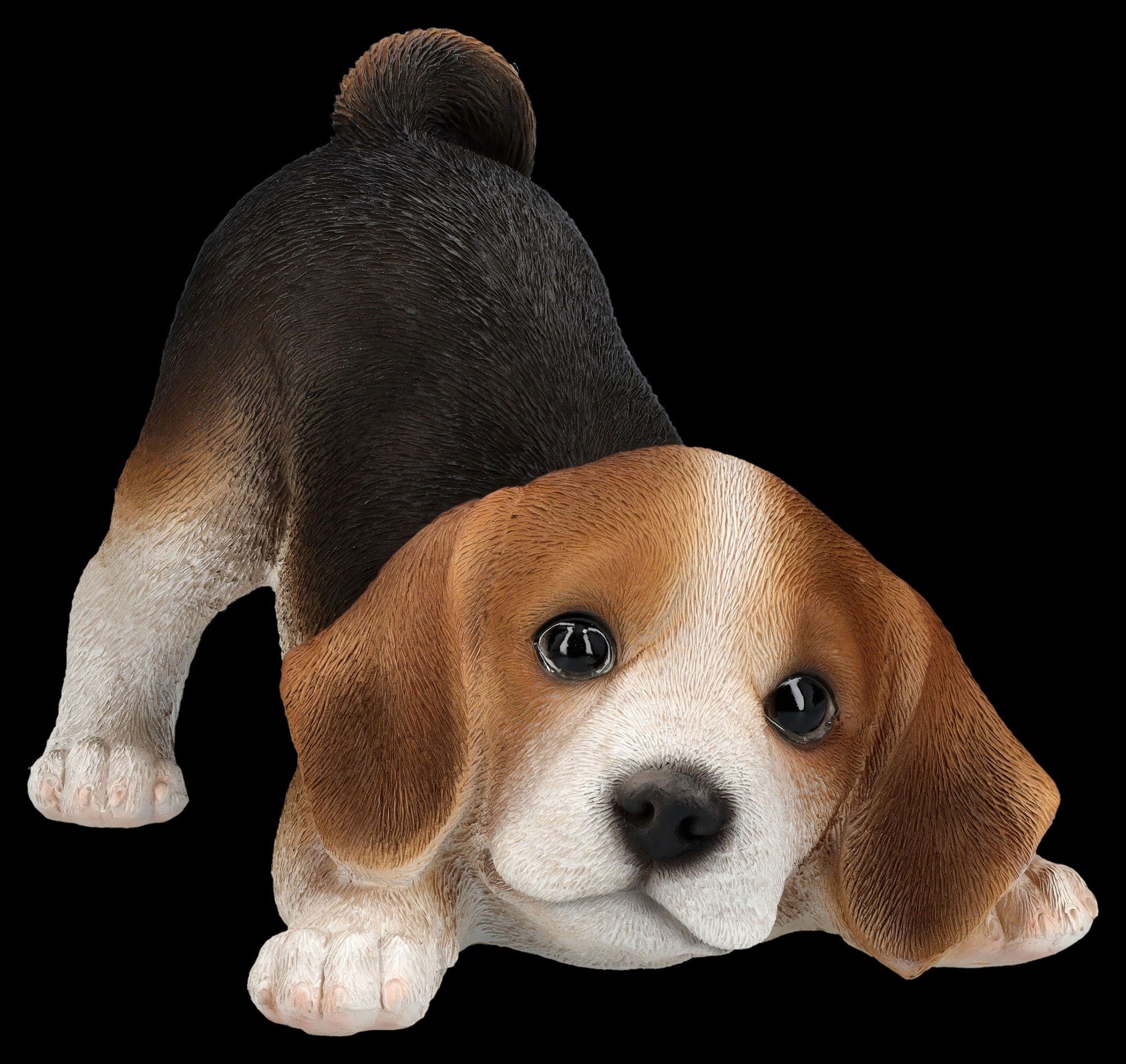 Figuren Shop GmbH Tierfigur Hundefigur - Beagle Welpe will spielen - Hund Dekofigur Dekoration